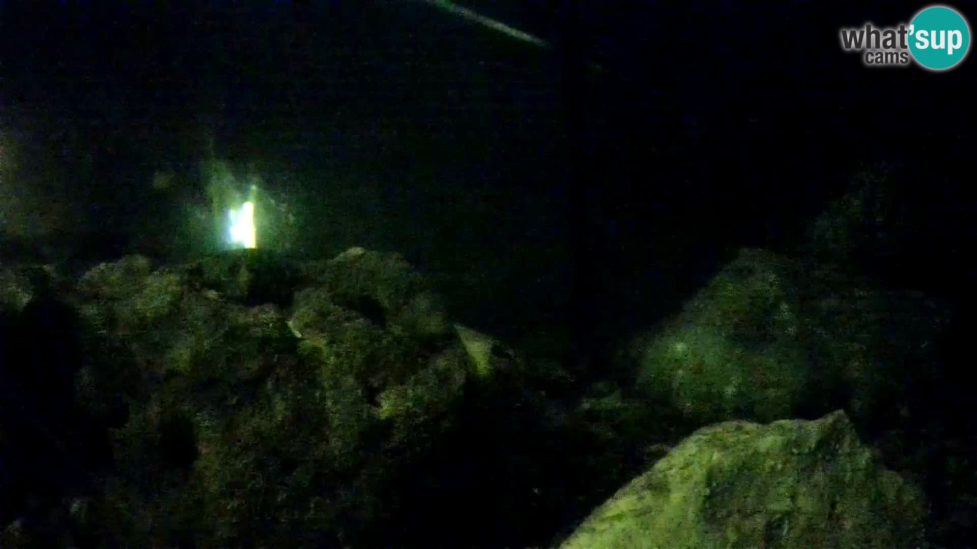 Outdoor Marine Aquarium Rogoznica webcam Croatia