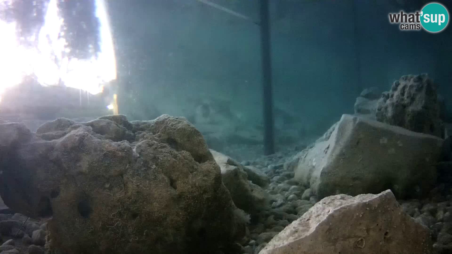 Marine Aquarium im Freien Rogoznica webcam Kroatien