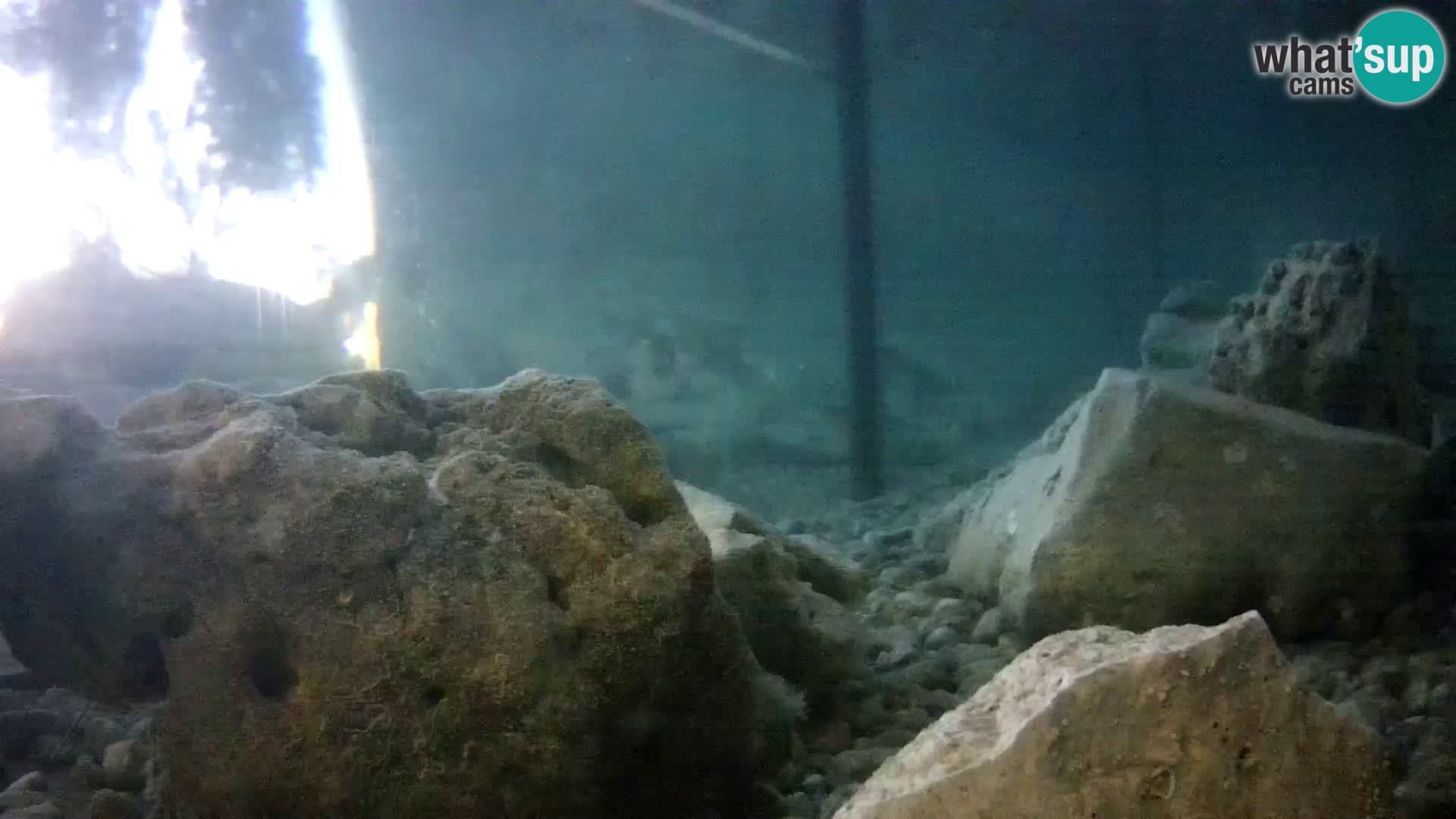 Marine Aquarium im Freien Rogoznica webcam Kroatien