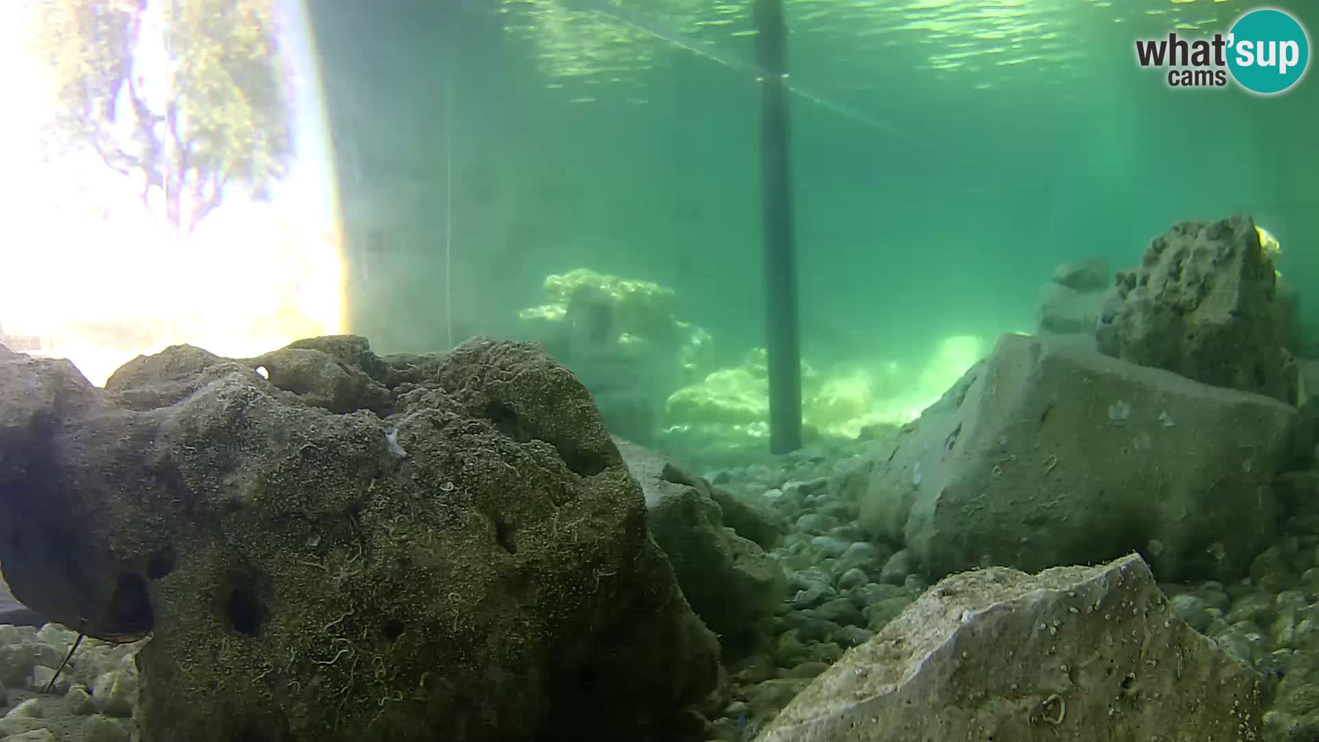 Marine Aquarium im Freien Rogoznica webcam Kroatien
