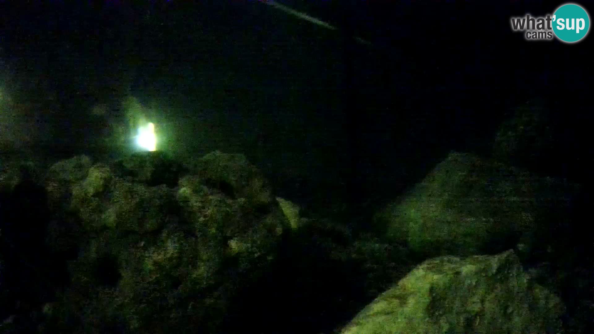 Acuario marino al aire libre Rogoznica webcam Croacia