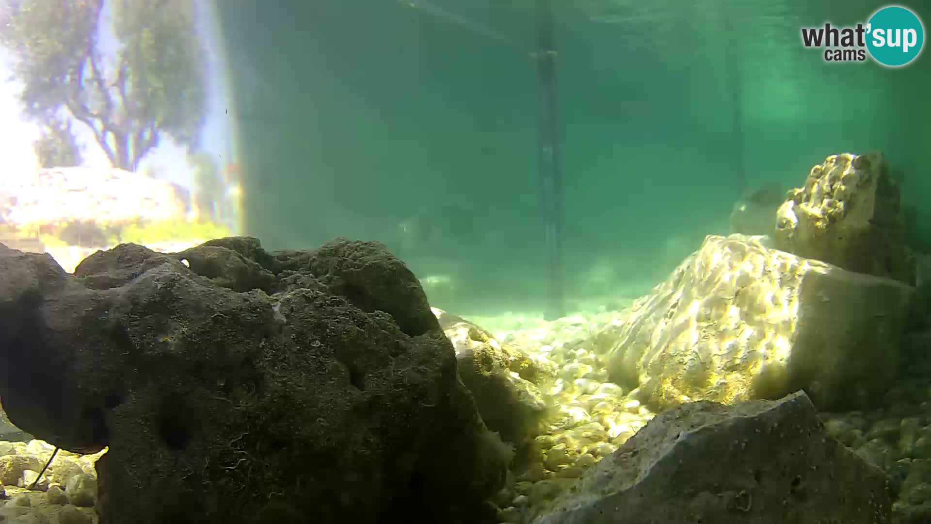 Outdoor Marine Aquarium Rogoznica webcam Croatia