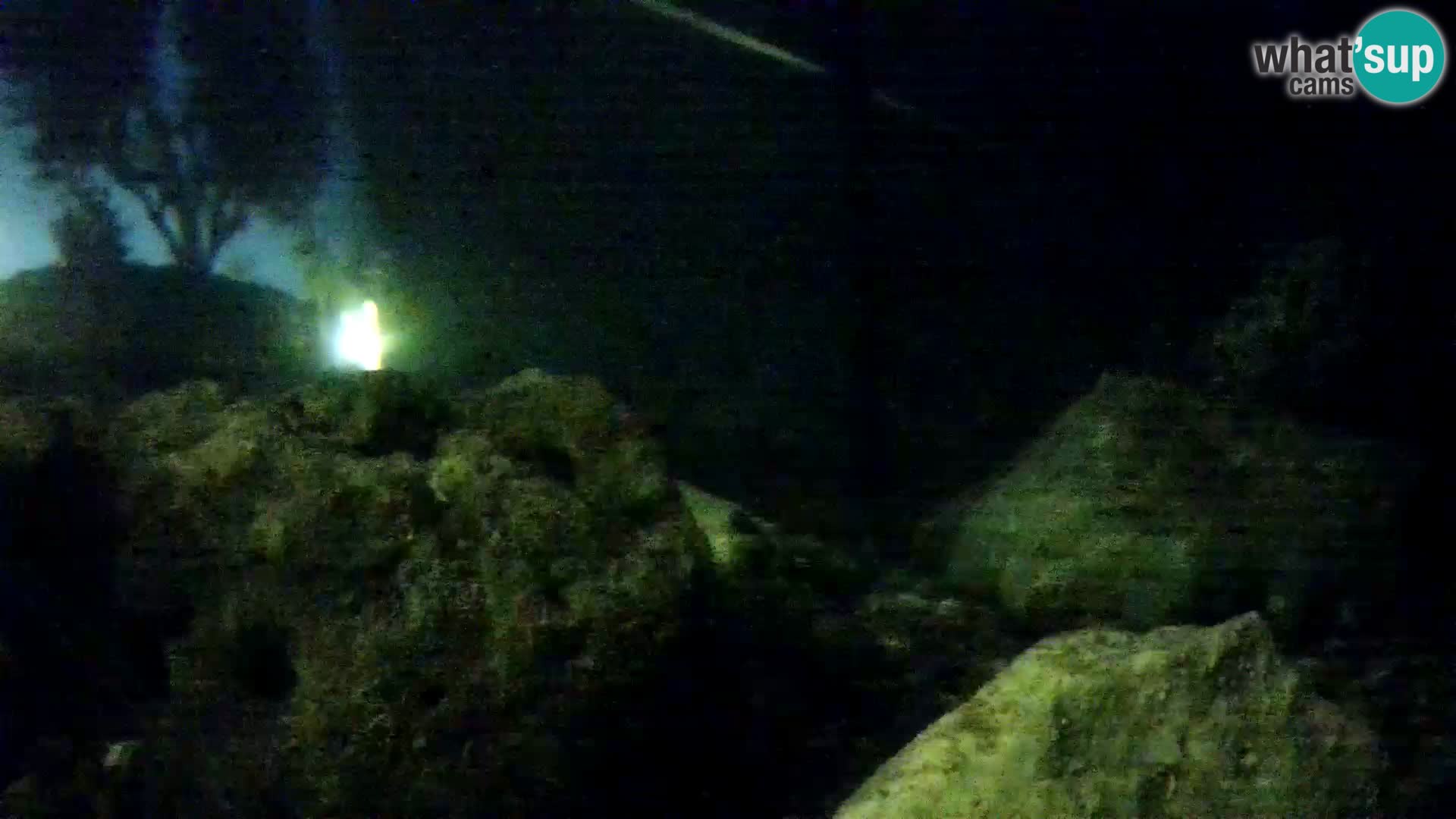 Outdoor Marine Aquarium Rogoznica webcam Croatia