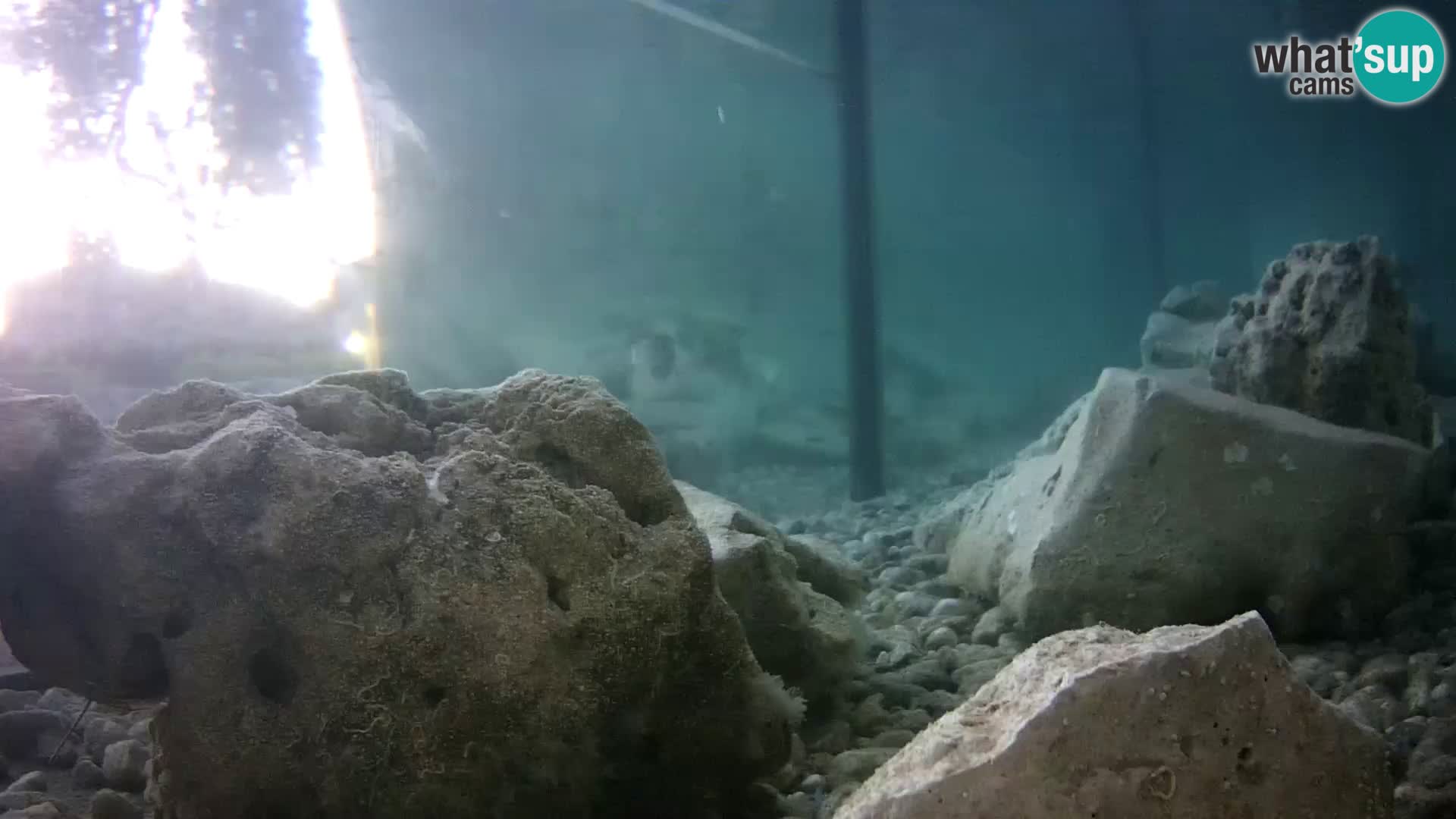 Marine Aquarium im Freien Rogoznica webcam Kroatien