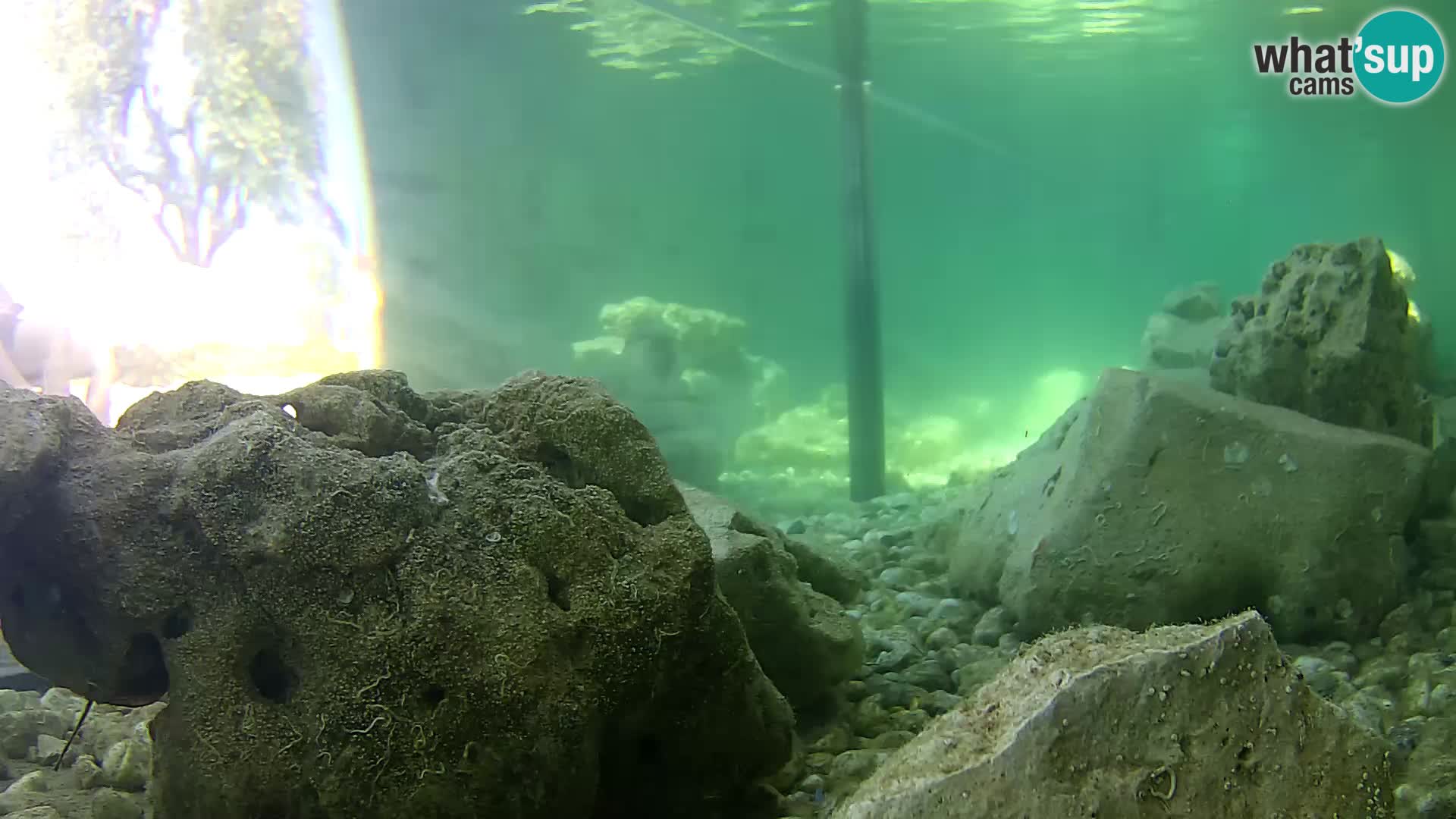Outdoor Marine Aquarium Rogoznica webcam Croatia