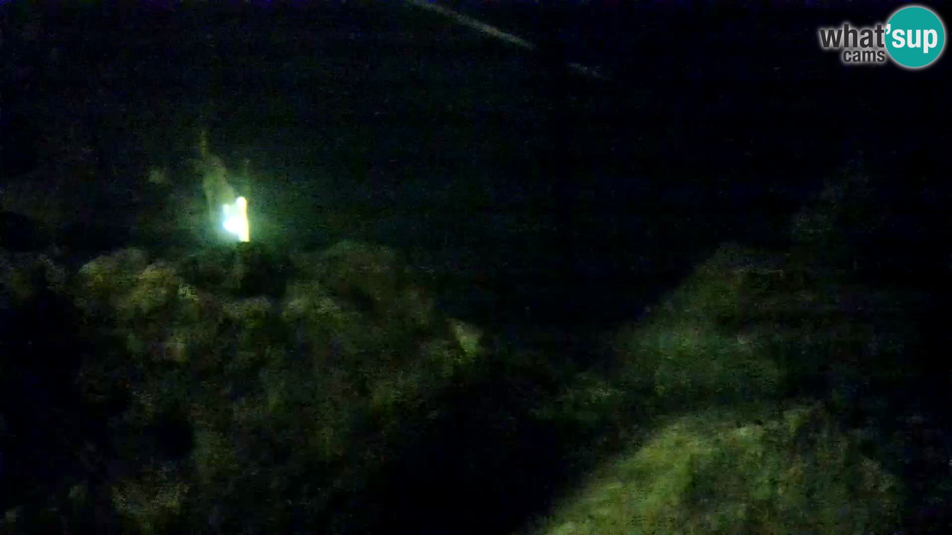 Webcam de l’aquarium marin extérieur de Rogoznica Croatie