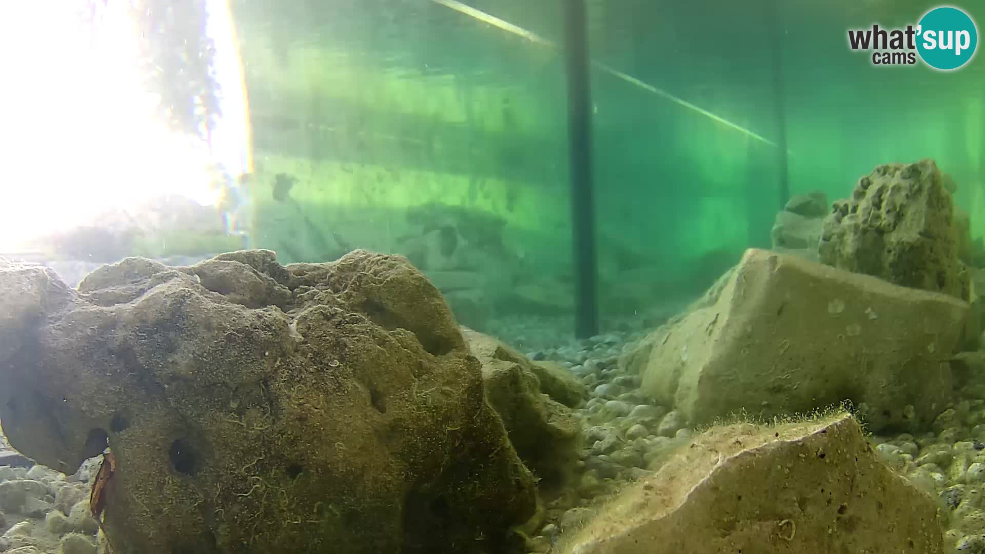 Marine Aquarium im Freien Rogoznica webcam Kroatien