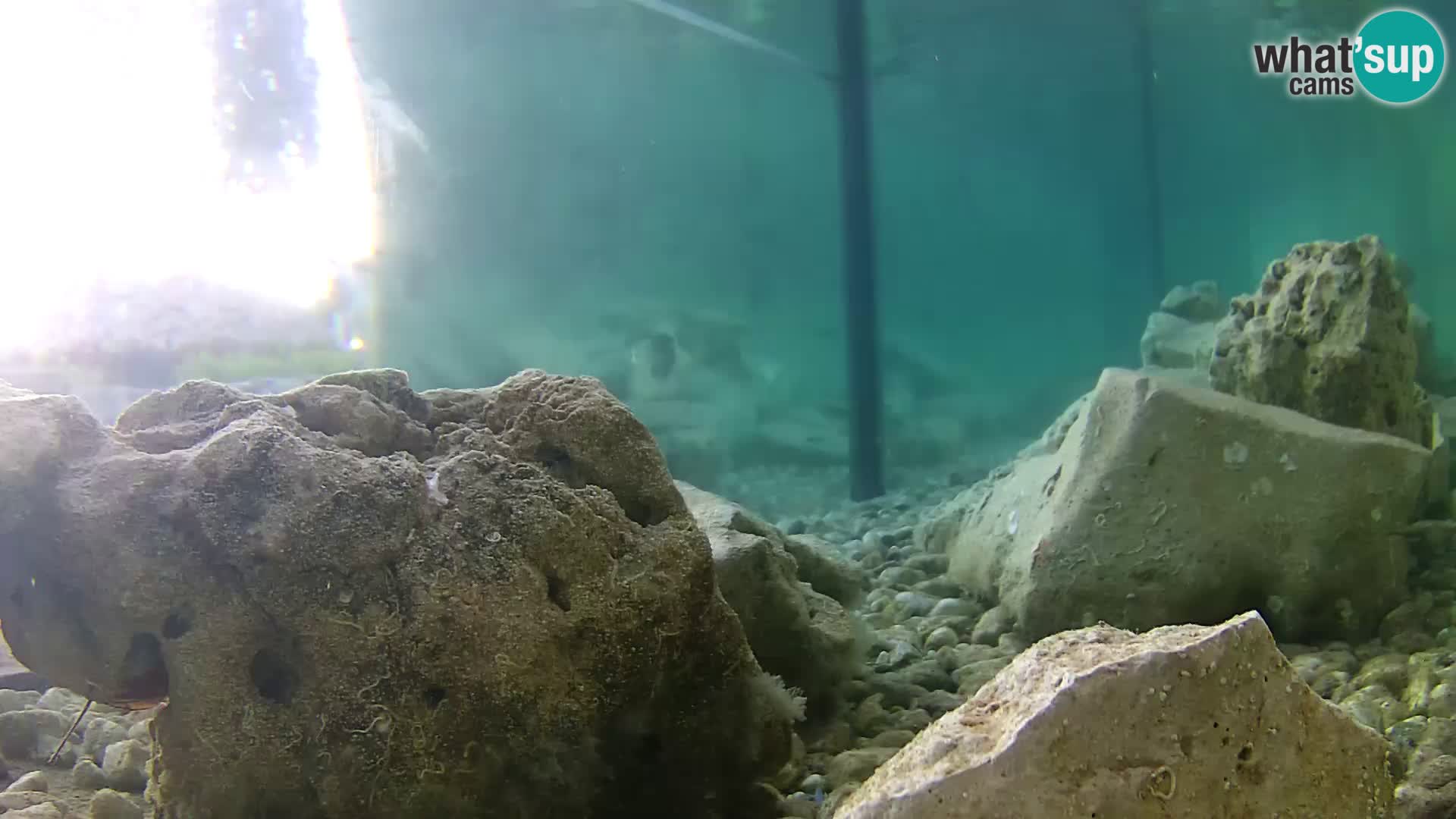 Marine Aquarium im Freien Rogoznica webcam Kroatien