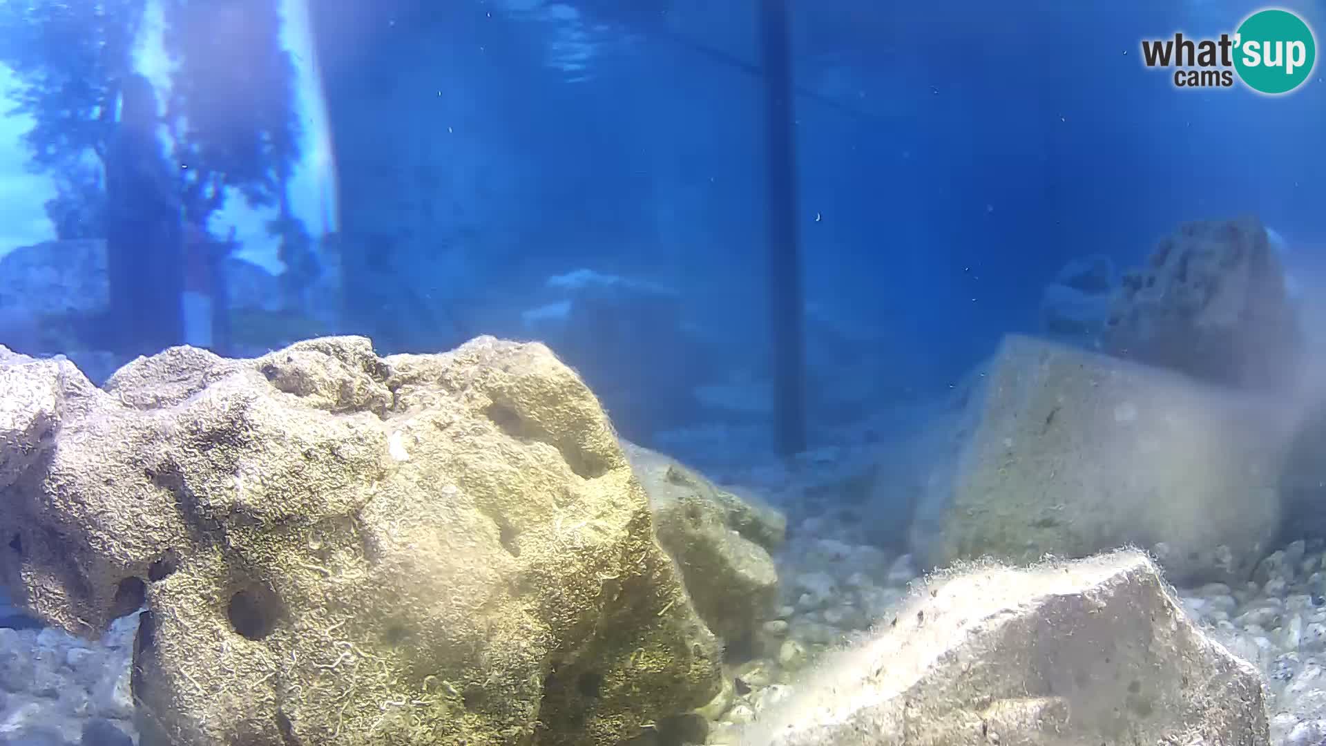 Marine Aquarium im Freien Rogoznica webcam Kroatien