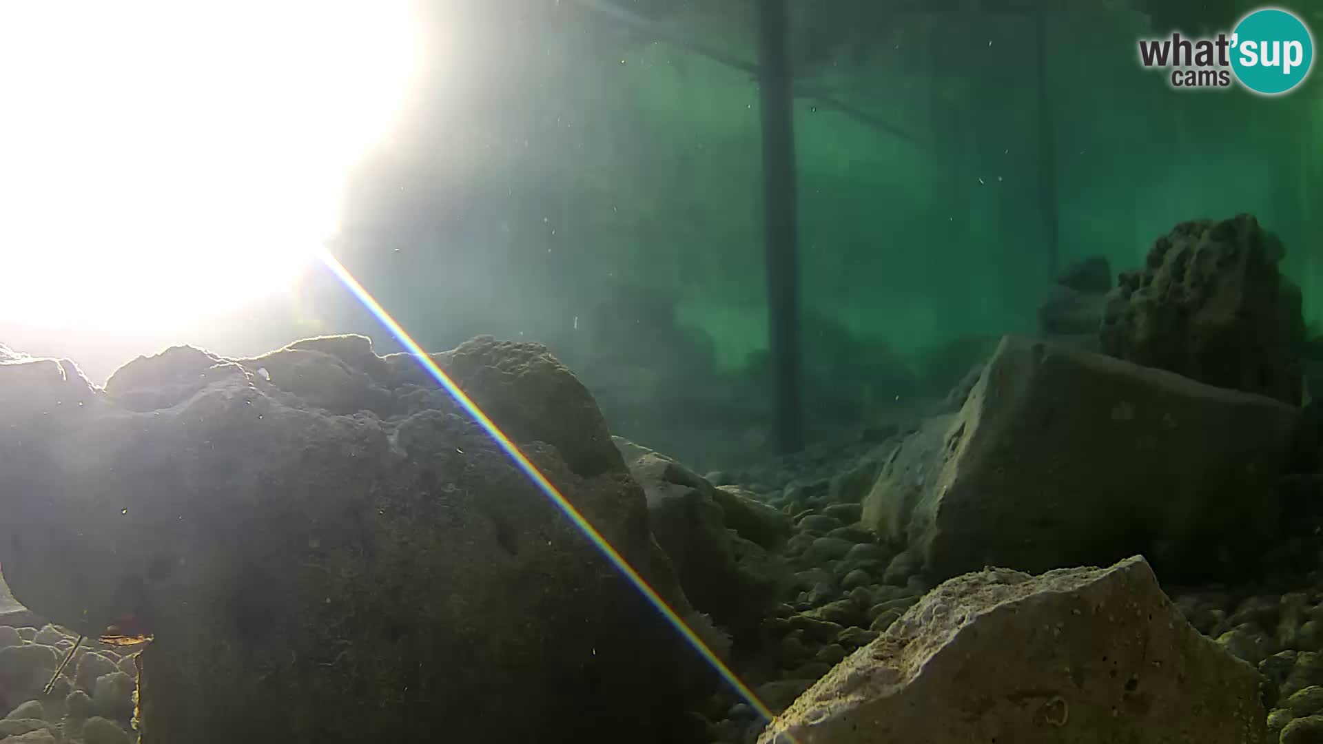 Outdoor Marine Aquarium Rogoznica webcam Croatia