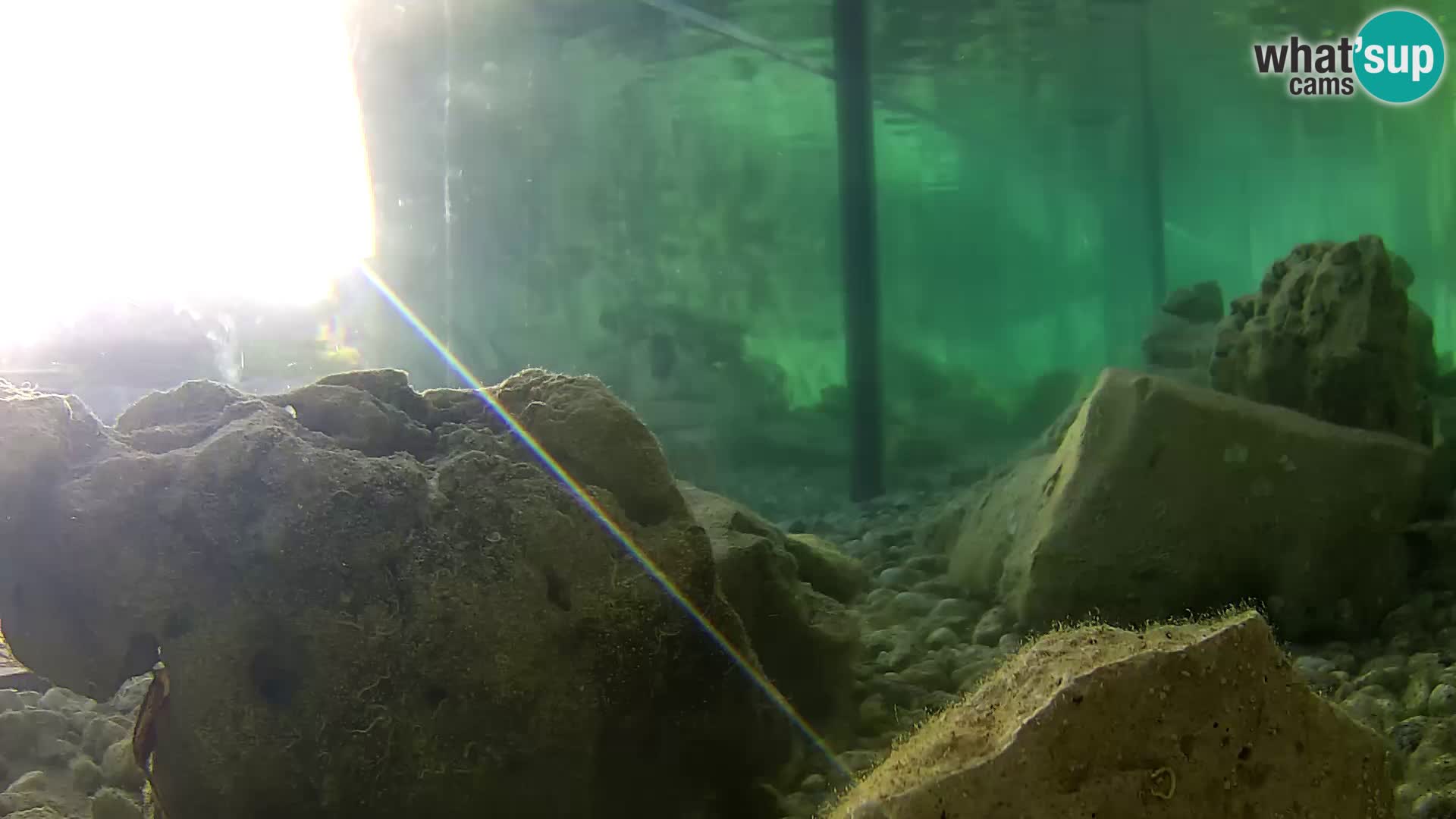Webcam de l’aquarium marin extérieur de Rogoznica Croatie