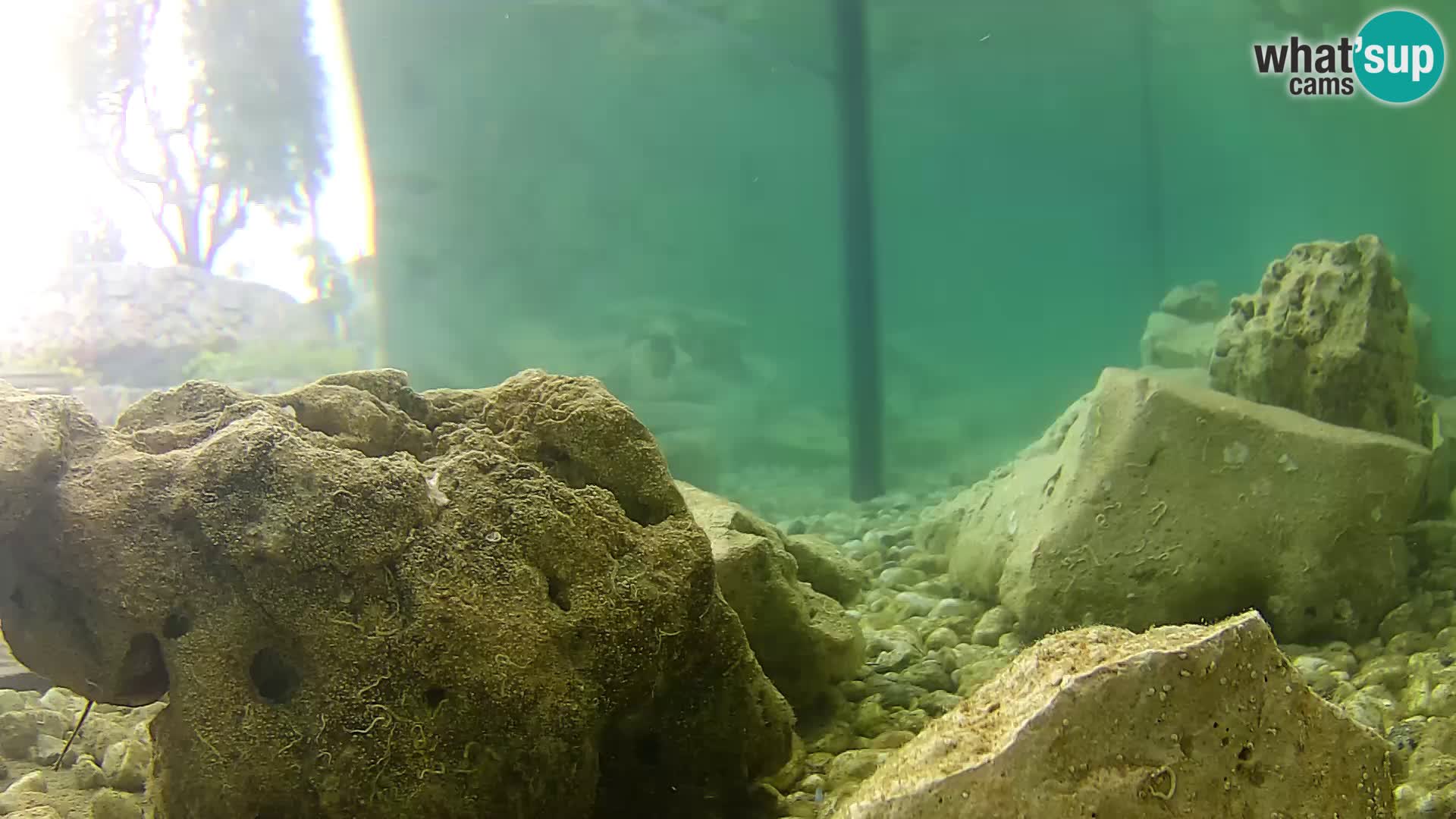 Outdoor Marine Aquarium Rogoznica webcam Croatia