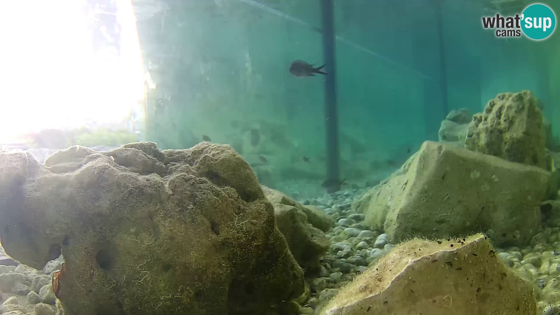 Marine Aquarium im Freien Rogoznica webcam Kroatien