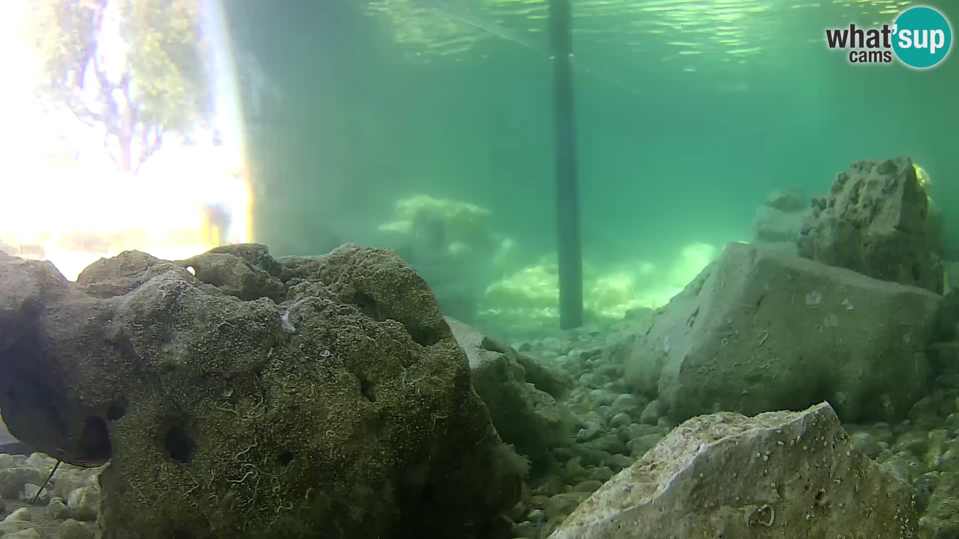 Webcam de l’aquarium marin extérieur de Rogoznica Croatie