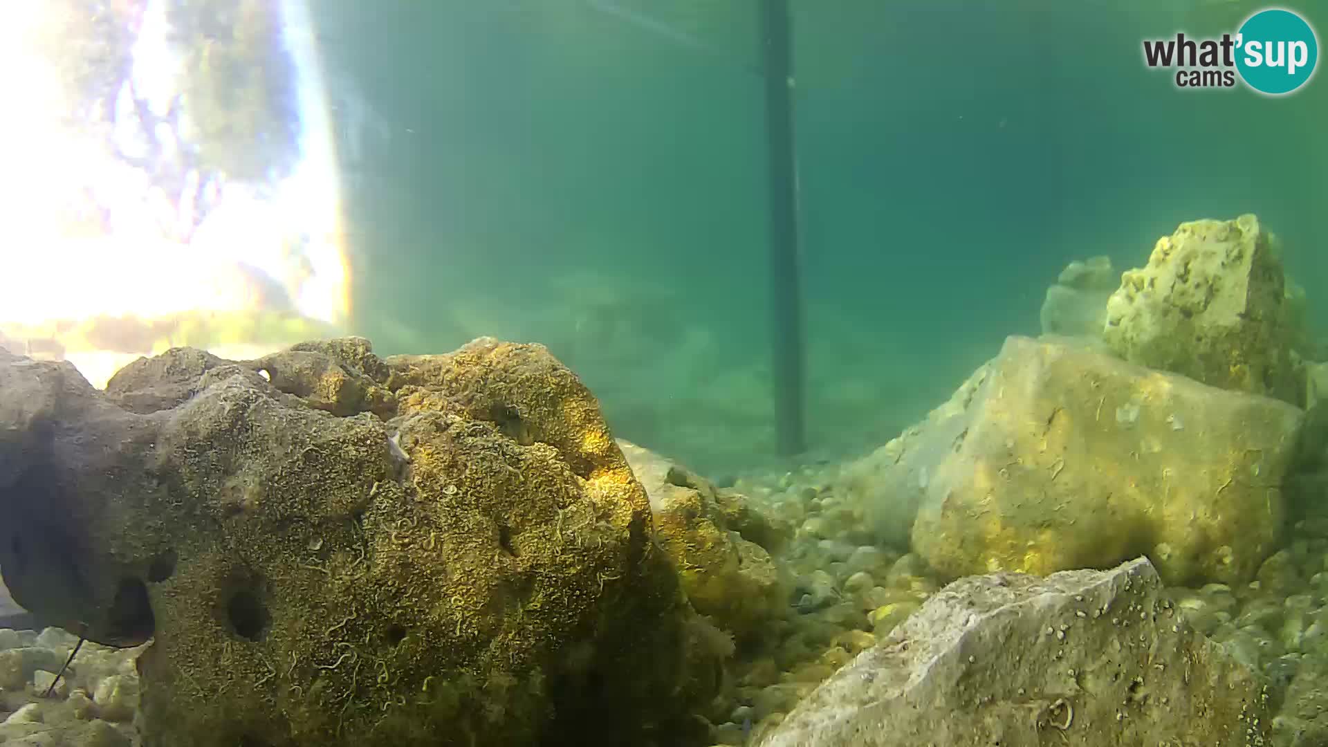 Outdoor Marine Aquarium Rogoznica webcam Croatia