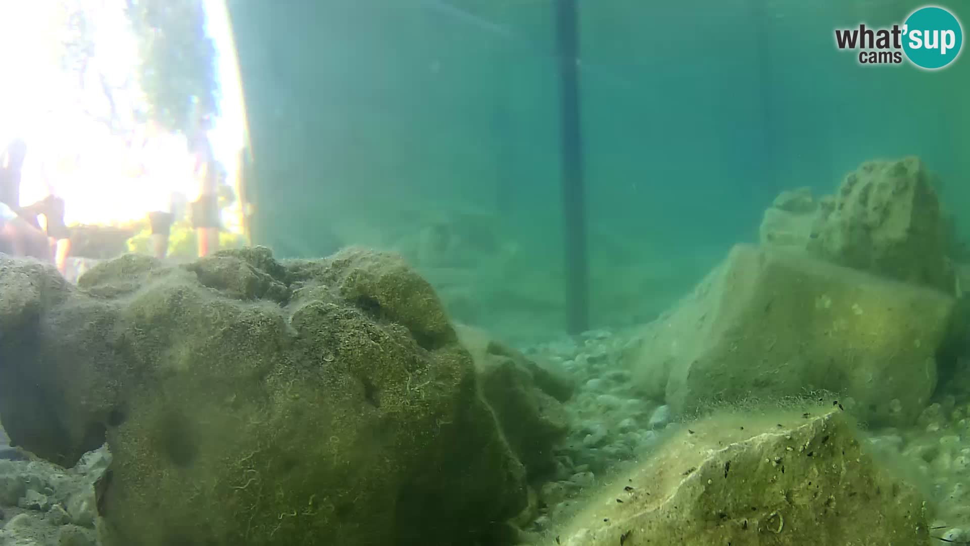 Marine Aquarium im Freien Rogoznica webcam Kroatien