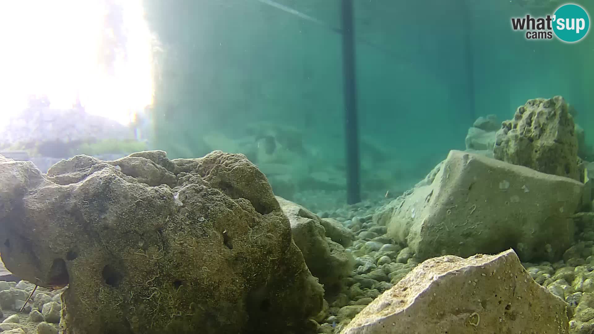 Marine Aquarium im Freien Rogoznica webcam Kroatien