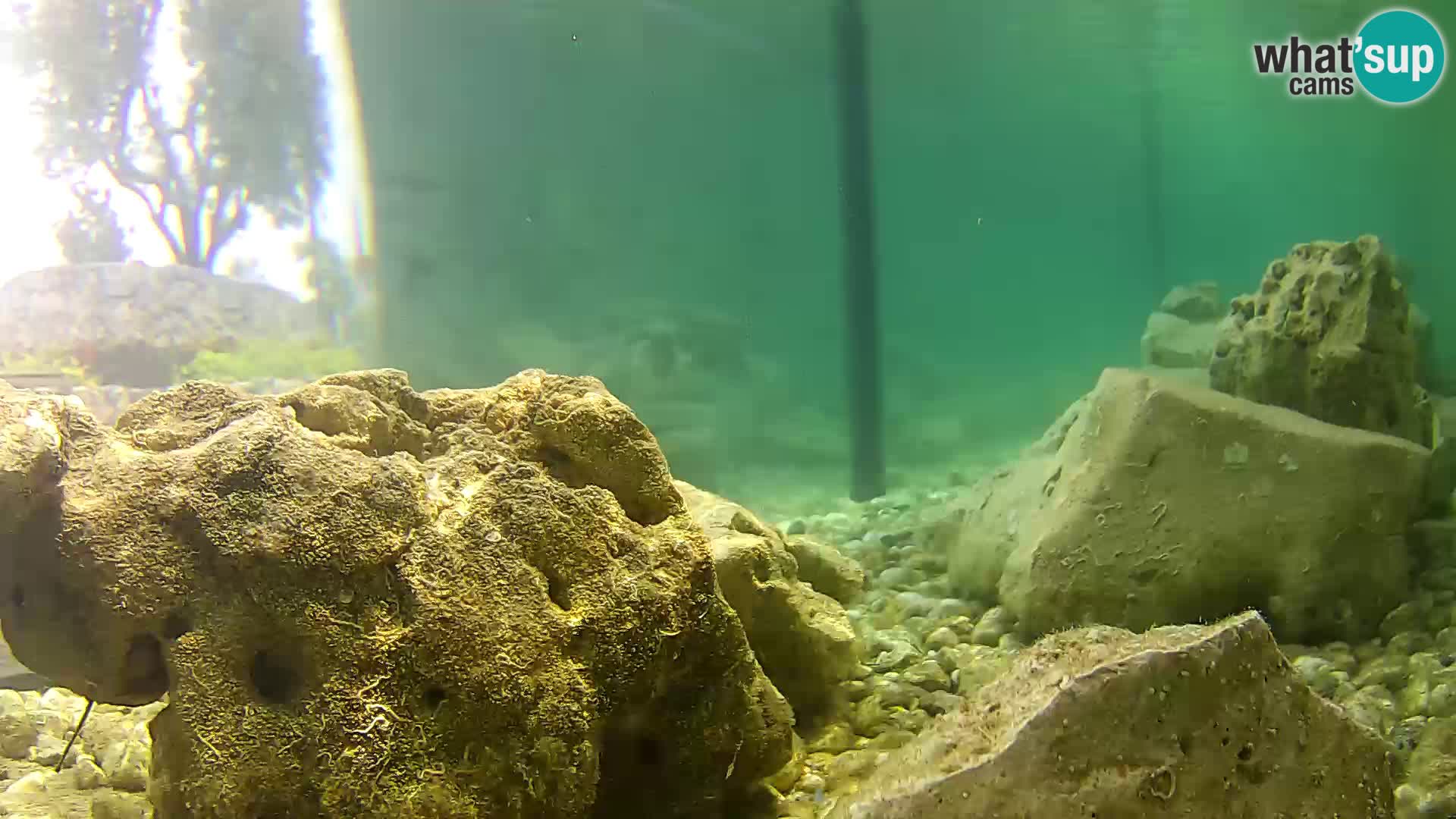 Outdoor Marine Aquarium Rogoznica webcam Croatia