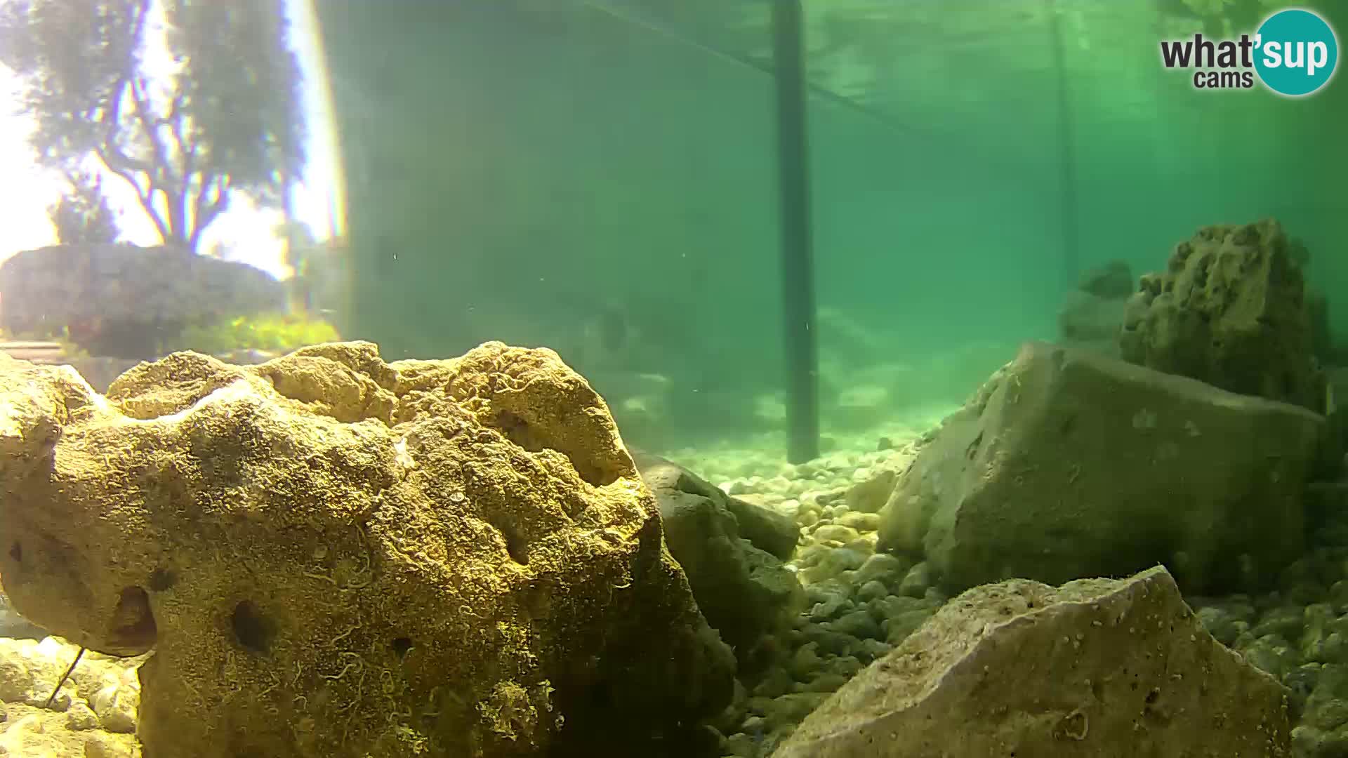 Marine Aquarium im Freien Rogoznica webcam Kroatien