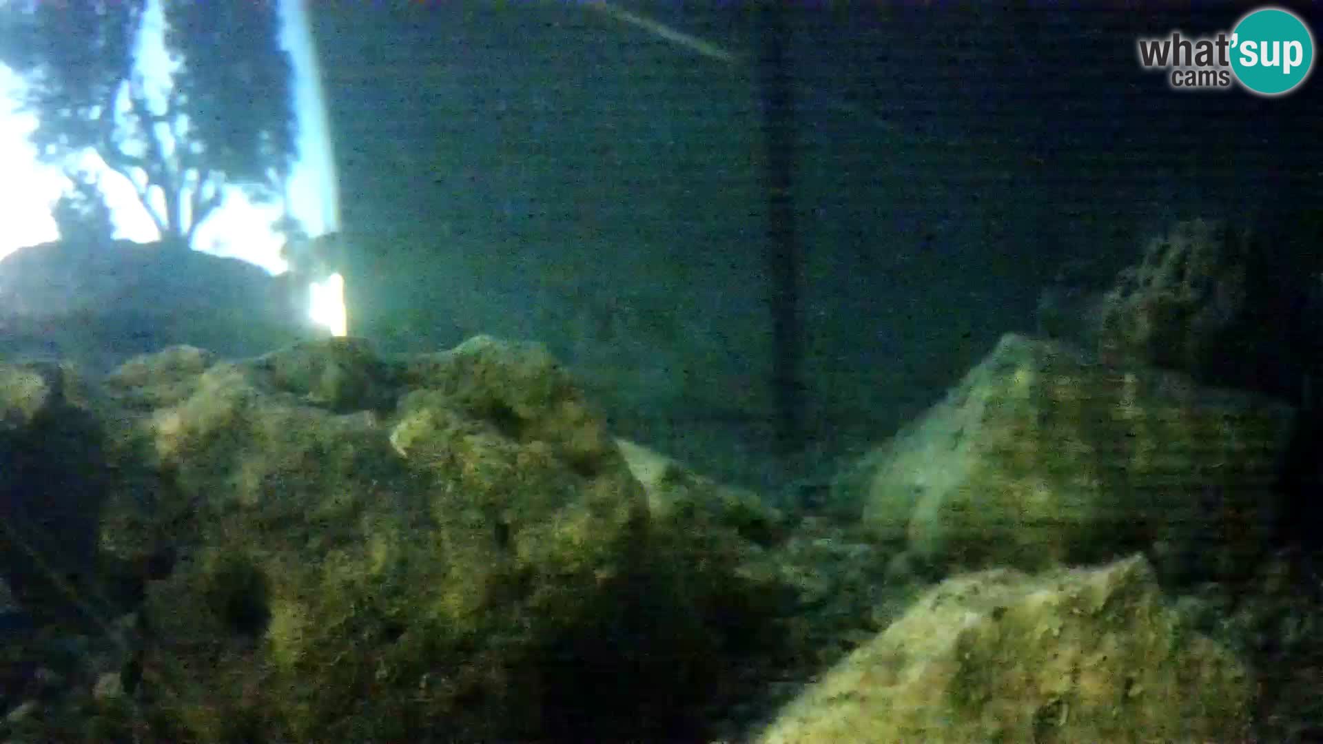 Marine Aquarium im Freien Rogoznica webcam Kroatien