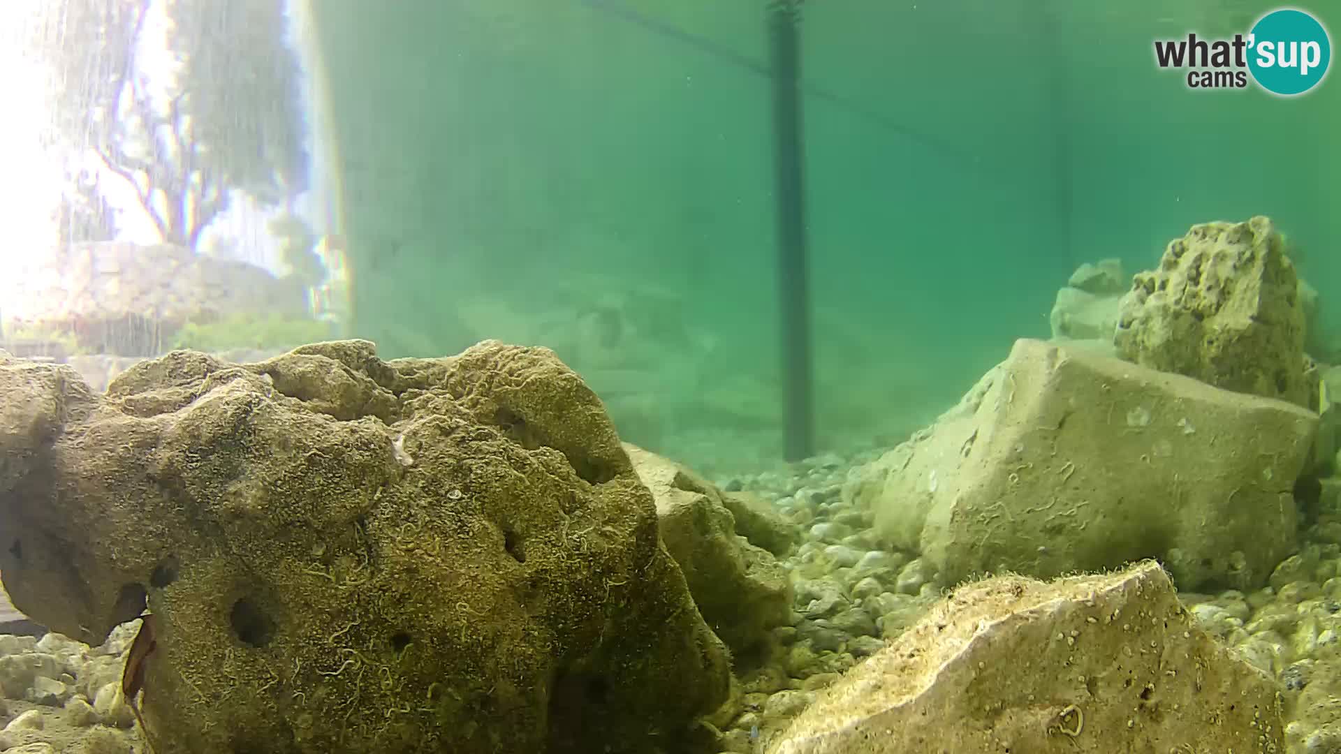 Outdoor Marine Aquarium Rogoznica webcam Croatia