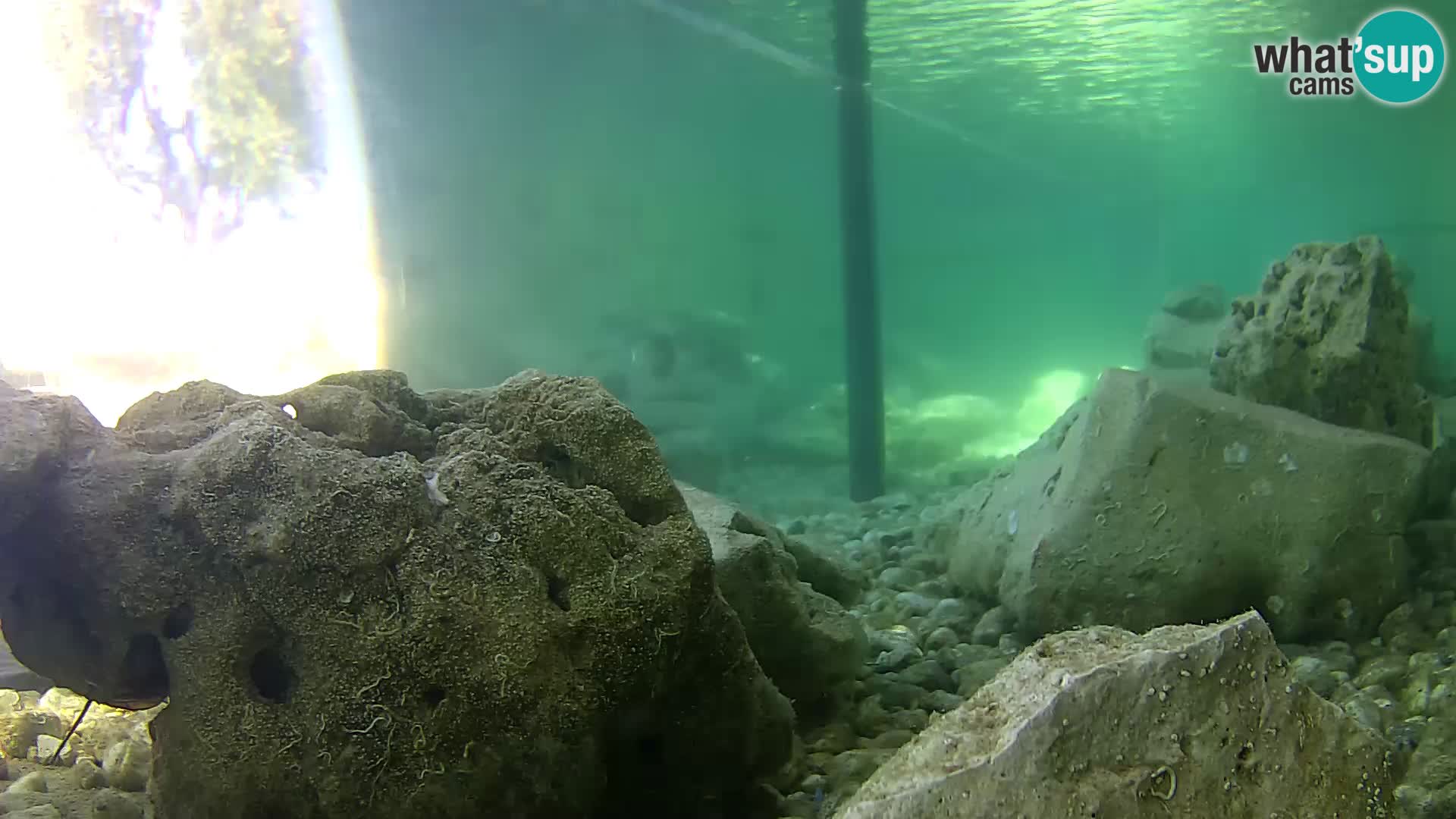 Webcam de l’aquarium marin extérieur de Rogoznica Croatie