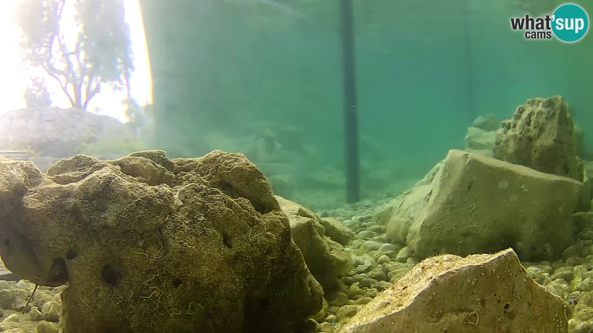 Outdoor Marine Aquarium Rogoznica webcam Croatia