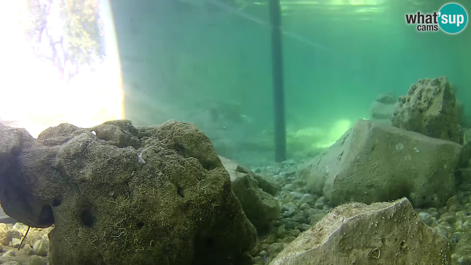 Webcam de l’aquarium marin extérieur de Rogoznica Croatie