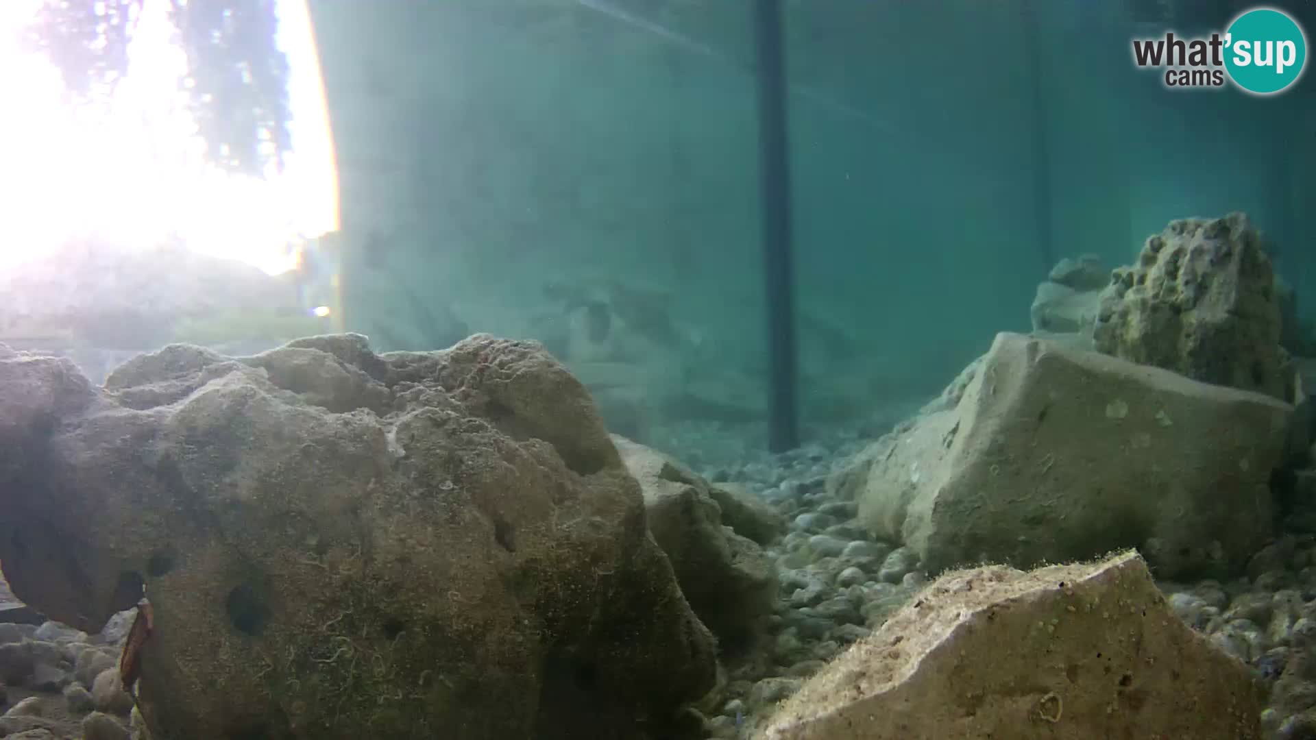 Marine Aquarium im Freien Rogoznica webcam Kroatien