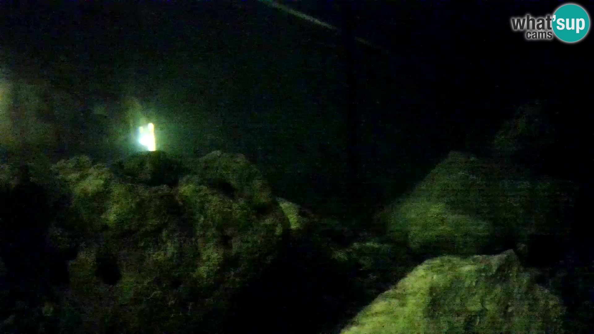 Aquario marino esterno –  Rogoznica livecam Croazia