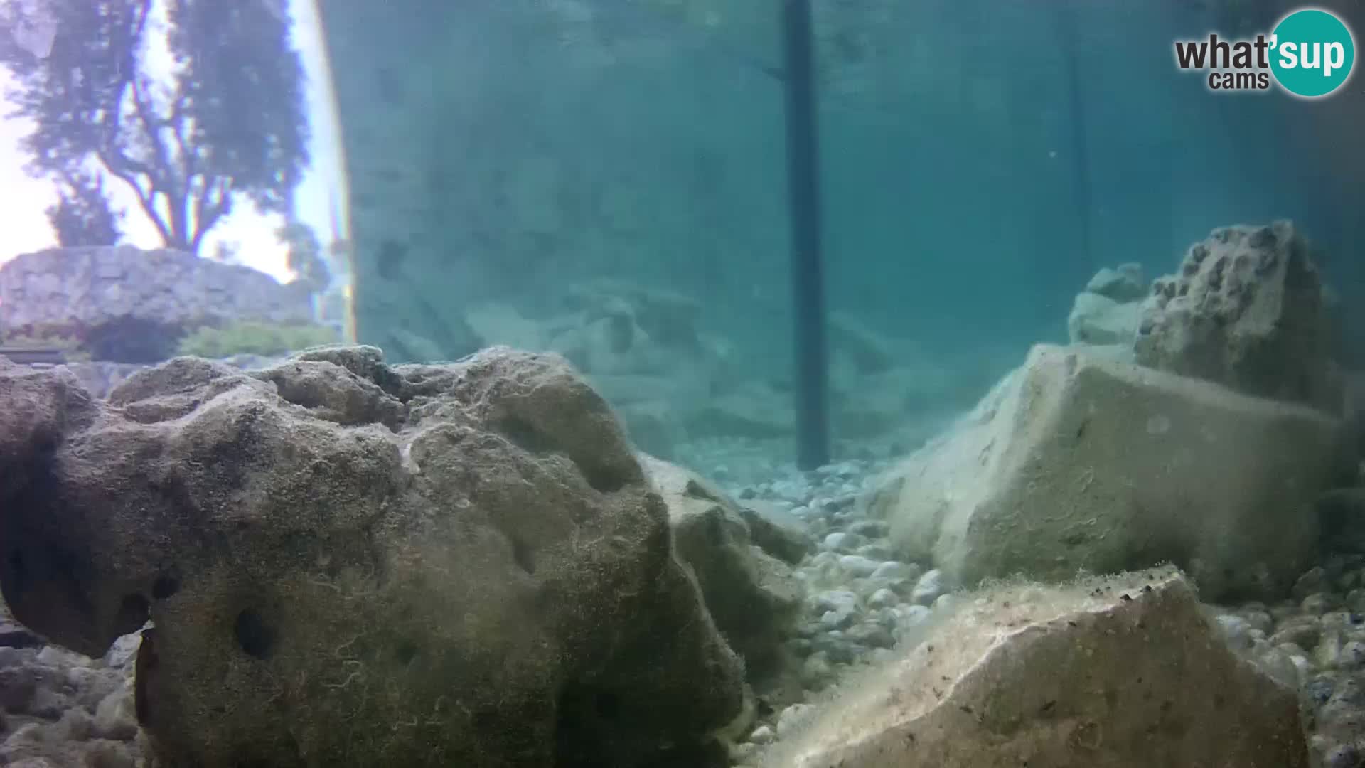 Webcam de l’aquarium marin extérieur de Rogoznica Croatie