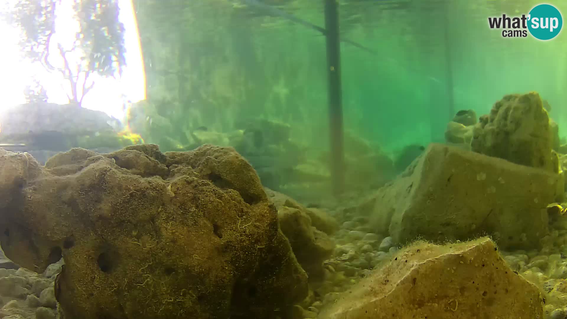 Marine Aquarium im Freien Rogoznica webcam Kroatien