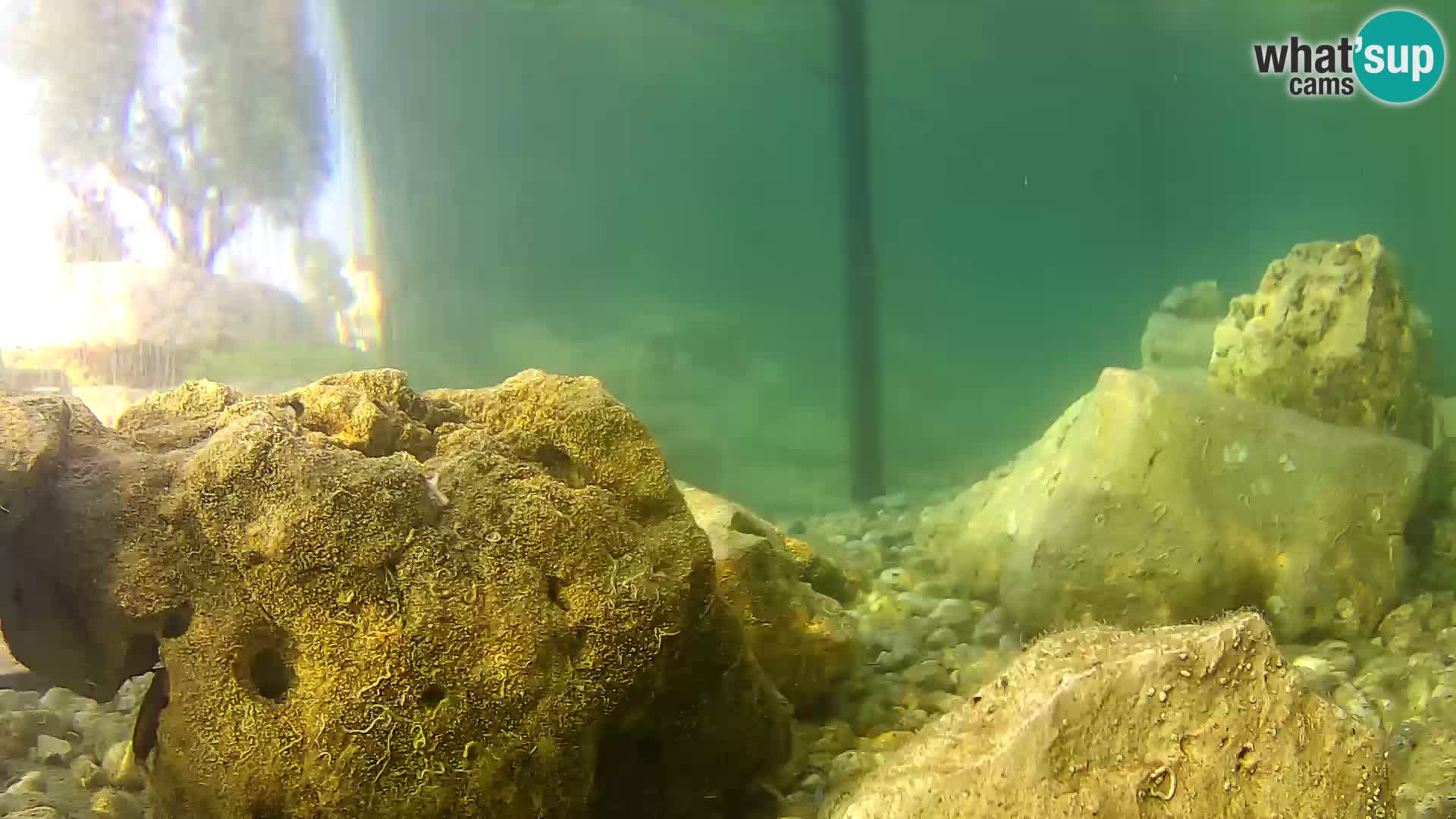 Marine Aquarium im Freien Rogoznica webcam Kroatien