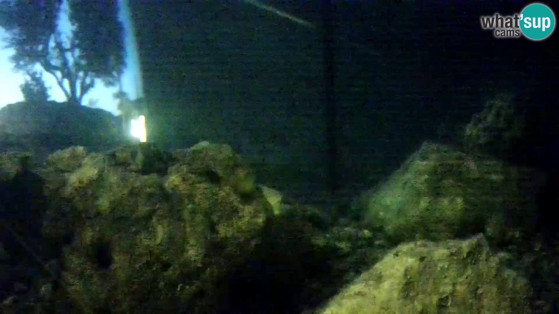 Webcam de l’aquarium marin extérieur de Rogoznica Croatie