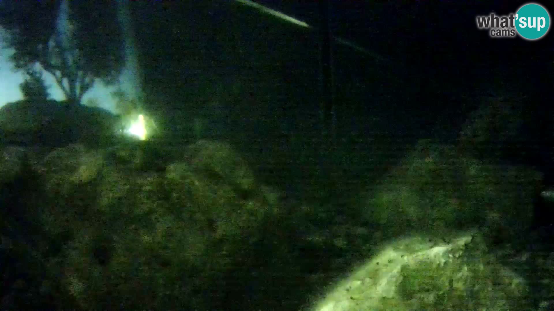 Outdoor Marine Aquarium Rogoznica webcam Croatia