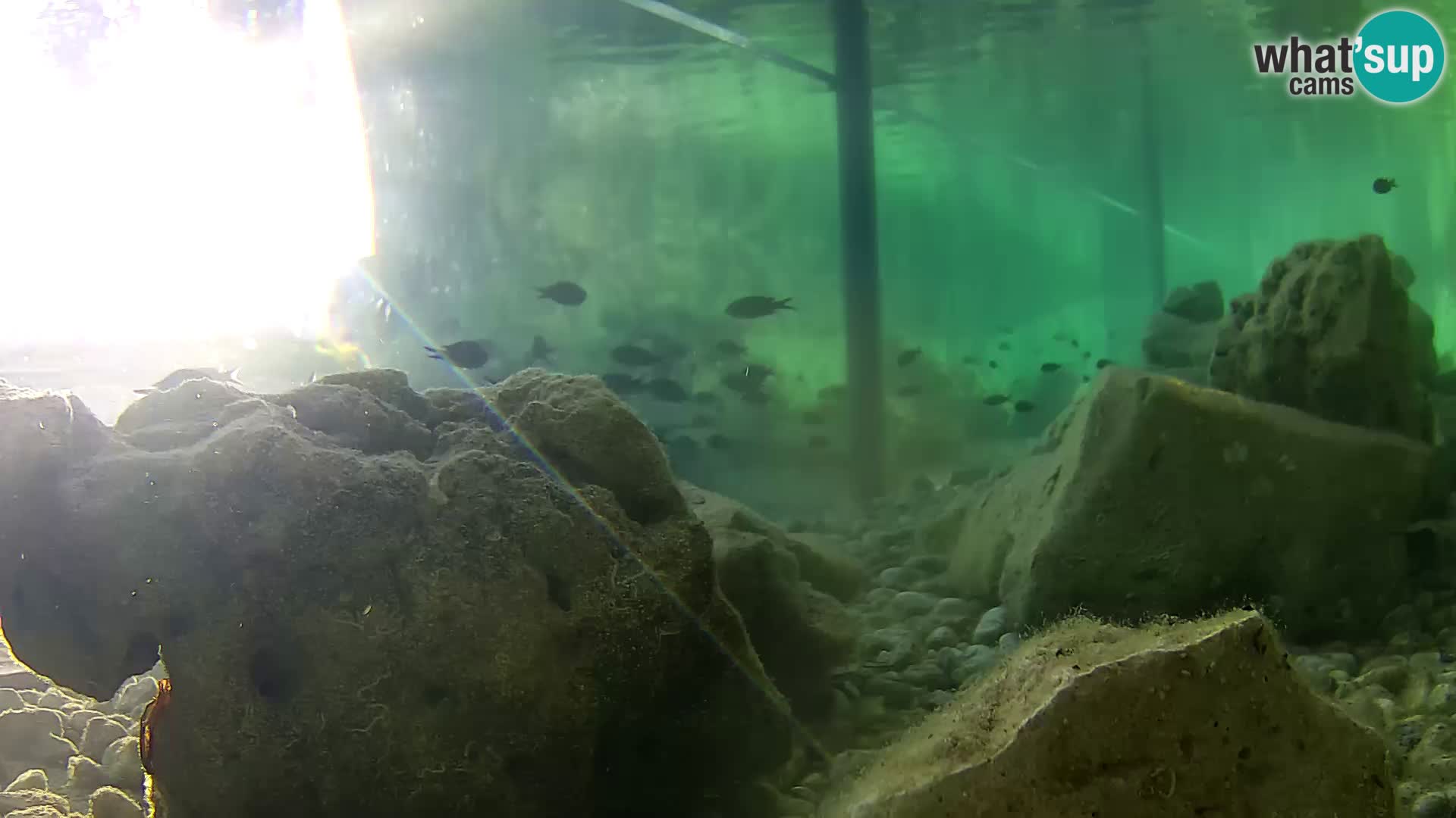 Outdoor Marine Aquarium Rogoznica webcam Croatia