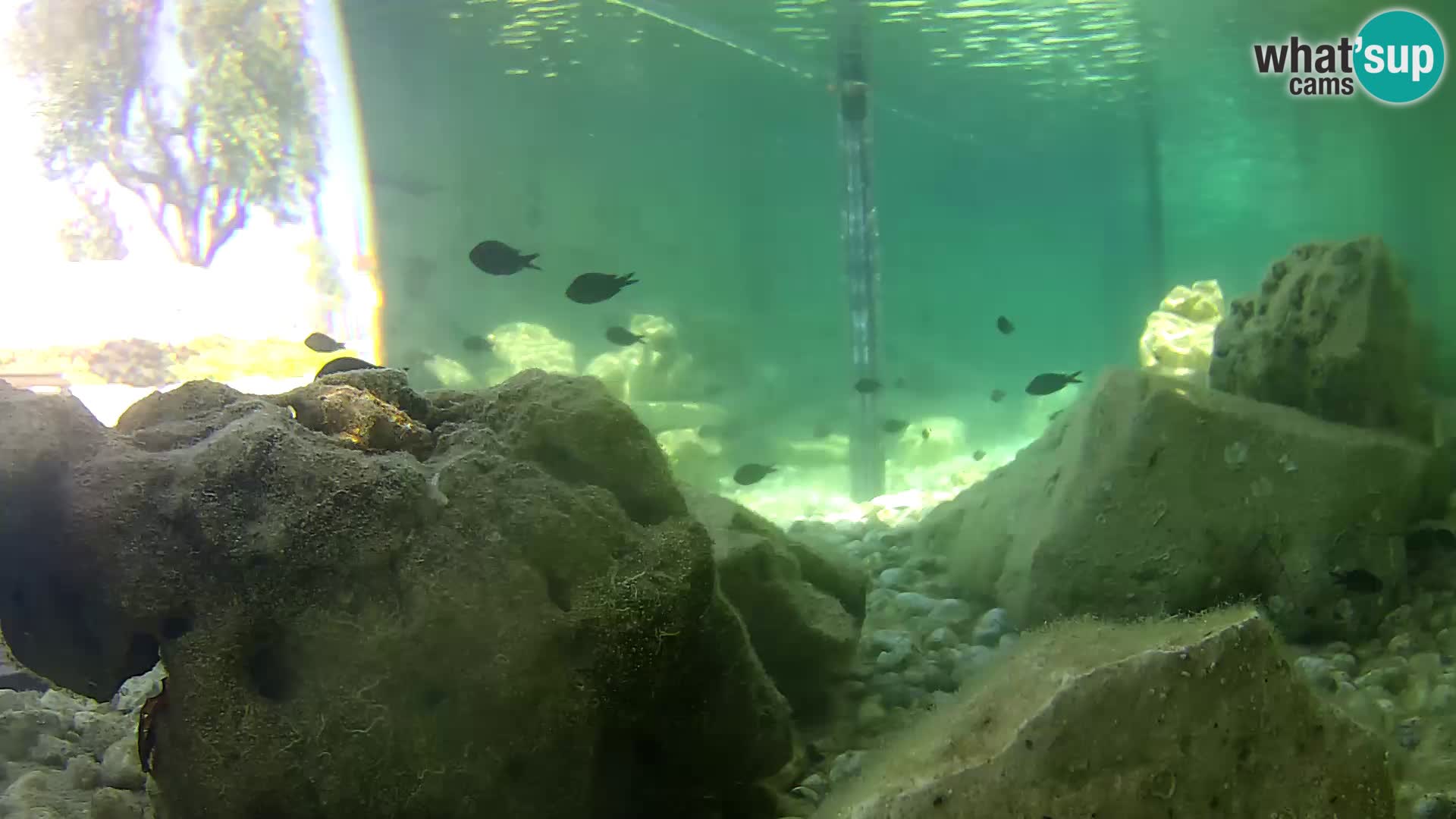 Marine Aquarium im Freien Rogoznica webcam Kroatien