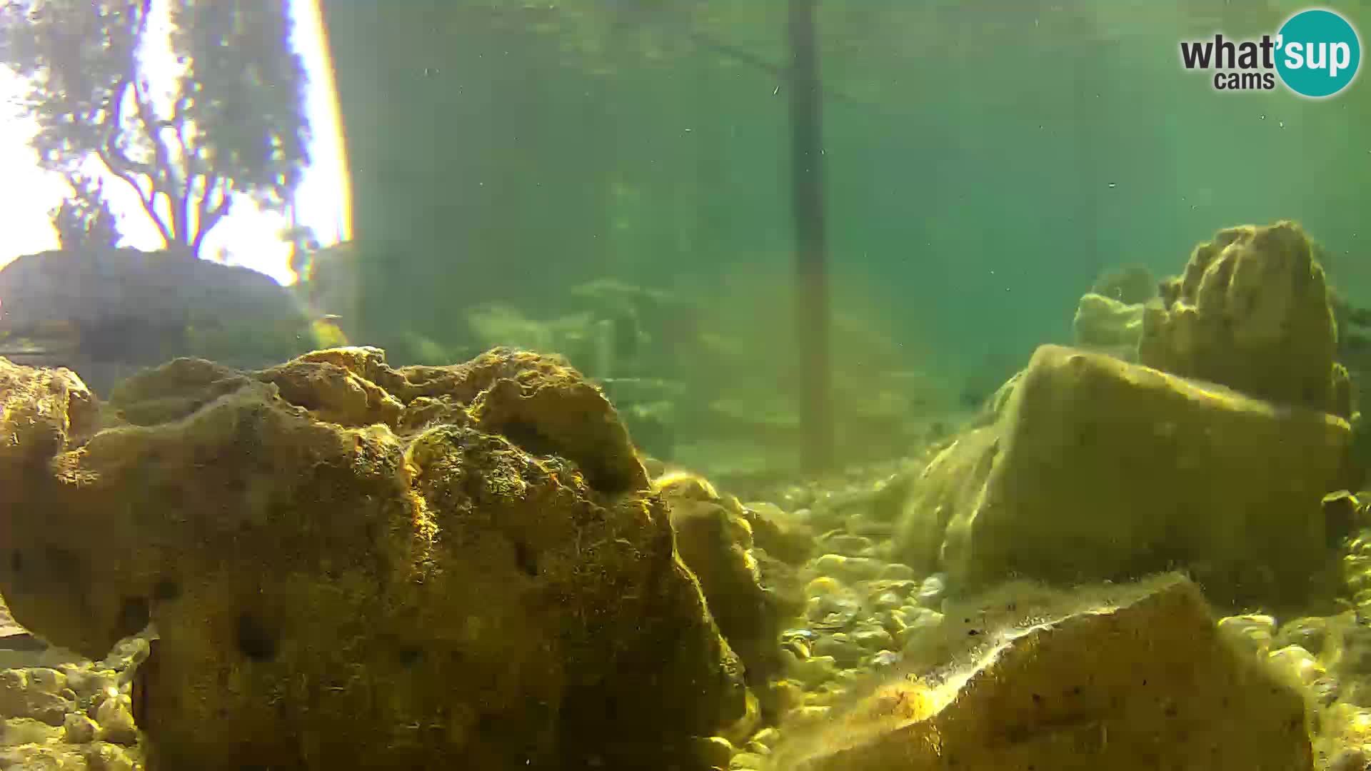 Marine Aquarium im Freien Rogoznica webcam Kroatien