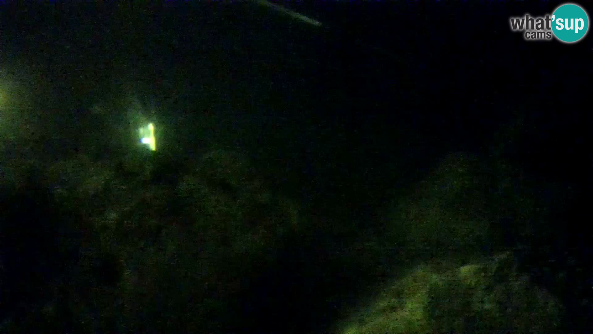 Aquario marino esterno –  Rogoznica livecam Croazia
