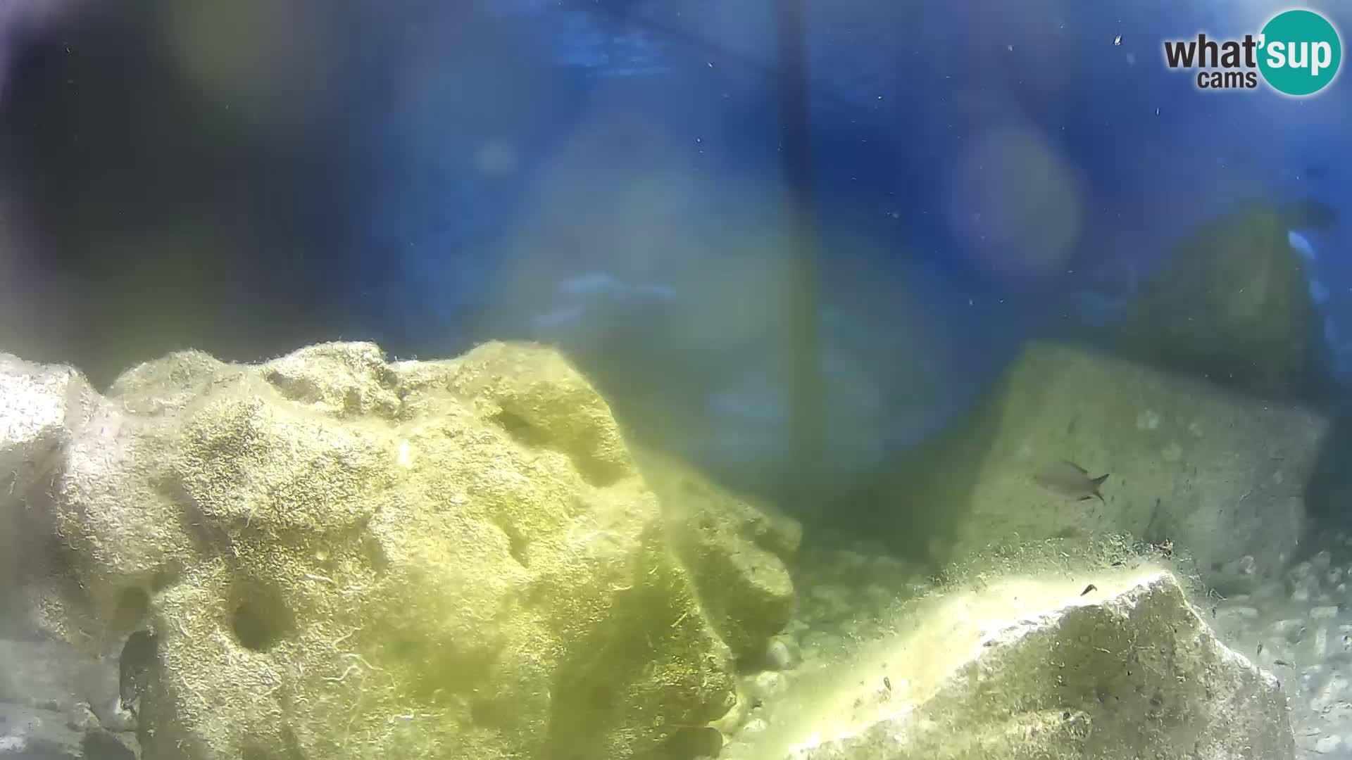 Marine Aquarium im Freien Rogoznica webcam Kroatien