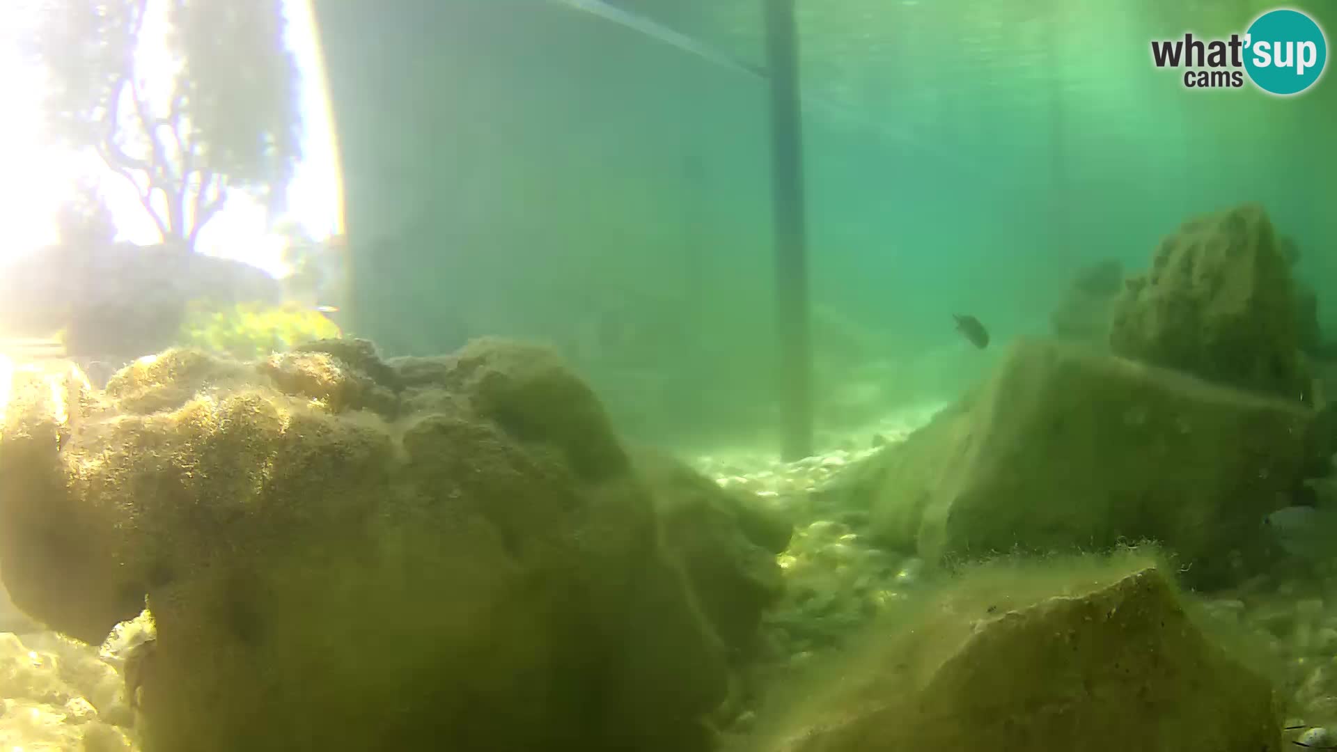 Marine Aquarium im Freien Rogoznica webcam Kroatien