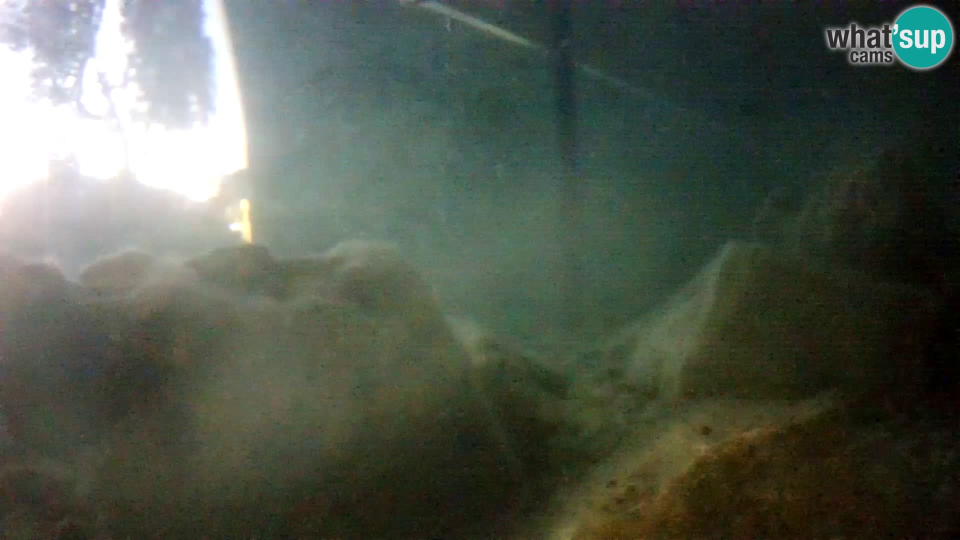 Outdoor Marine Aquarium Rogoznica webcam Croatia