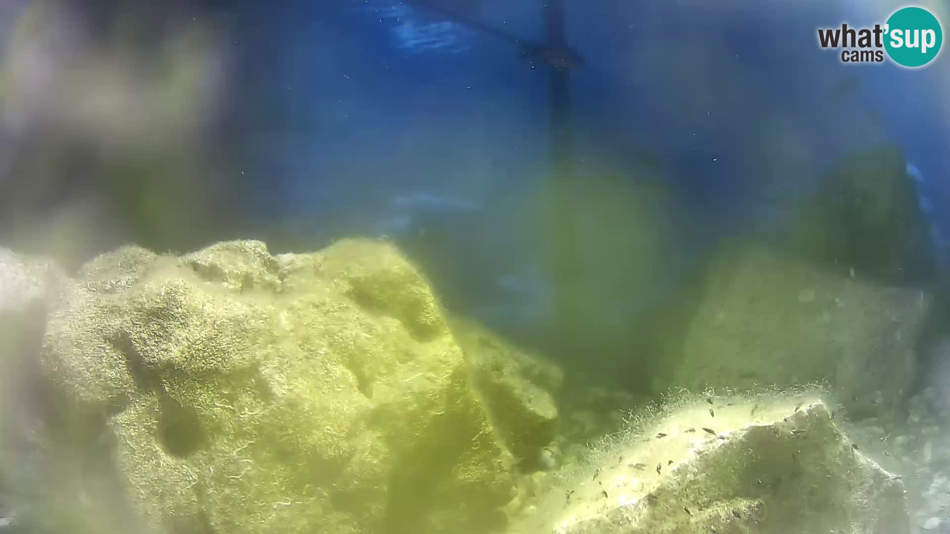 Marine Aquarium im Freien Rogoznica webcam Kroatien
