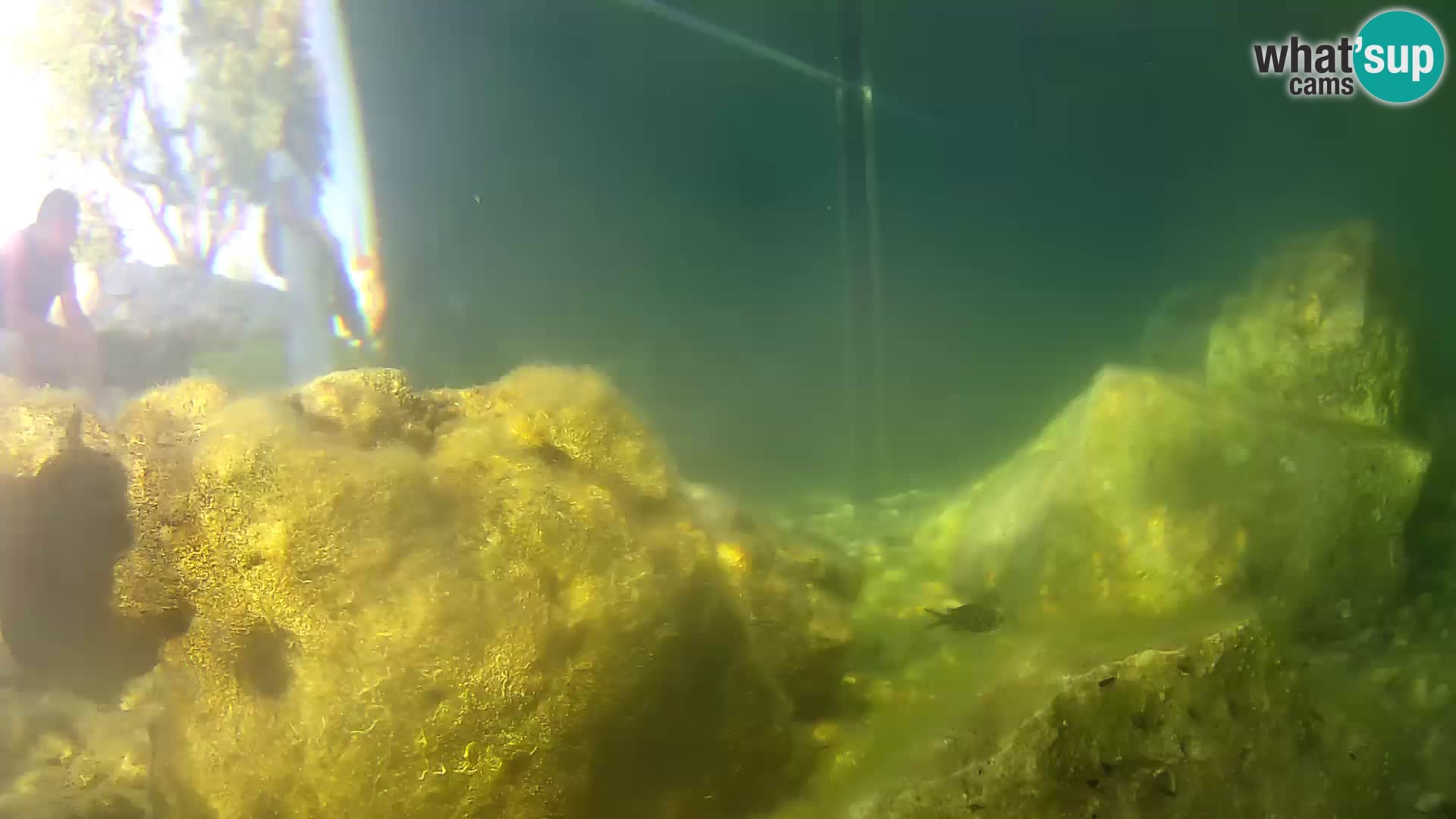 Marine Aquarium im Freien Rogoznica webcam Kroatien