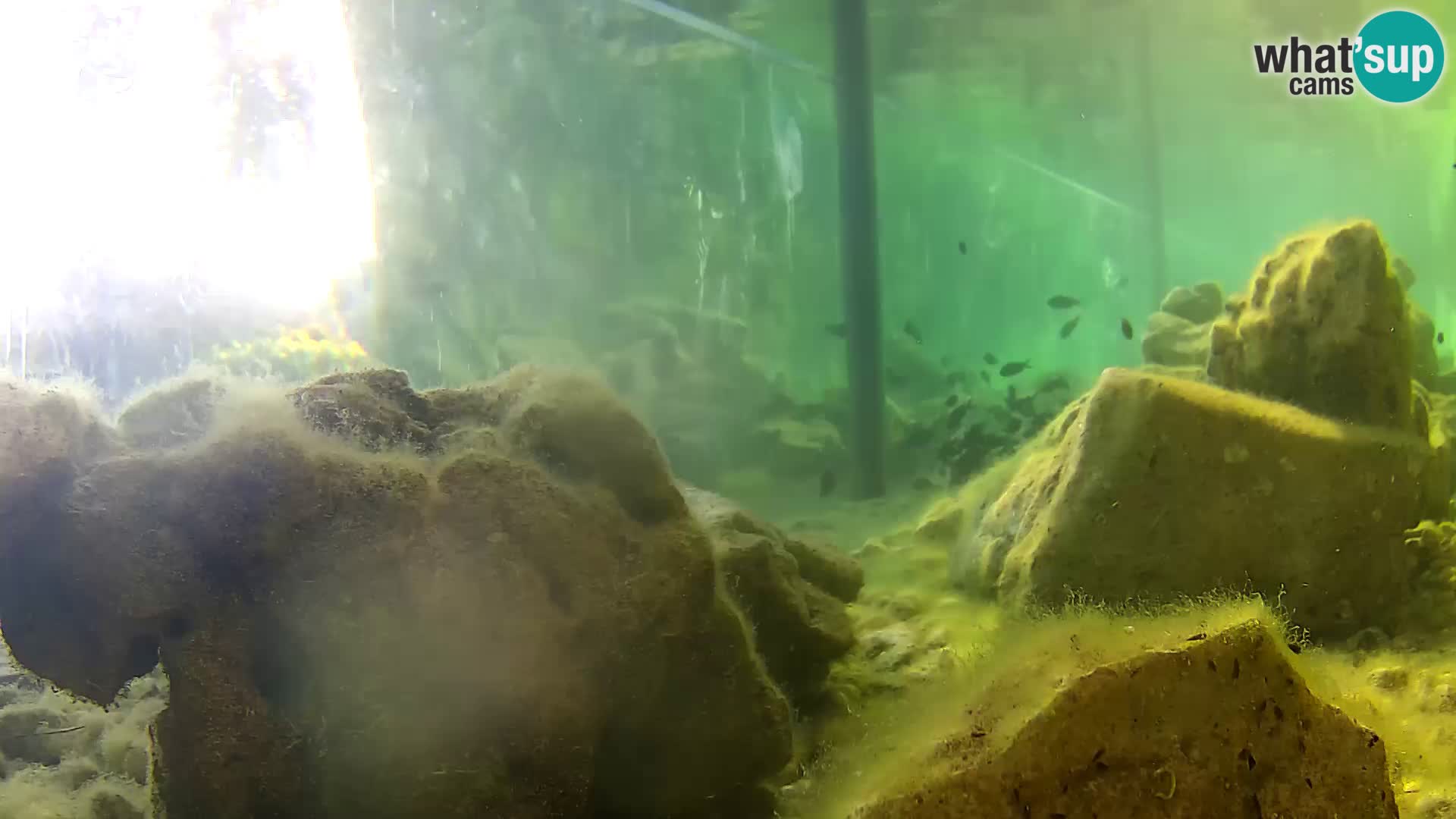 Marine Aquarium im Freien Rogoznica webcam Kroatien
