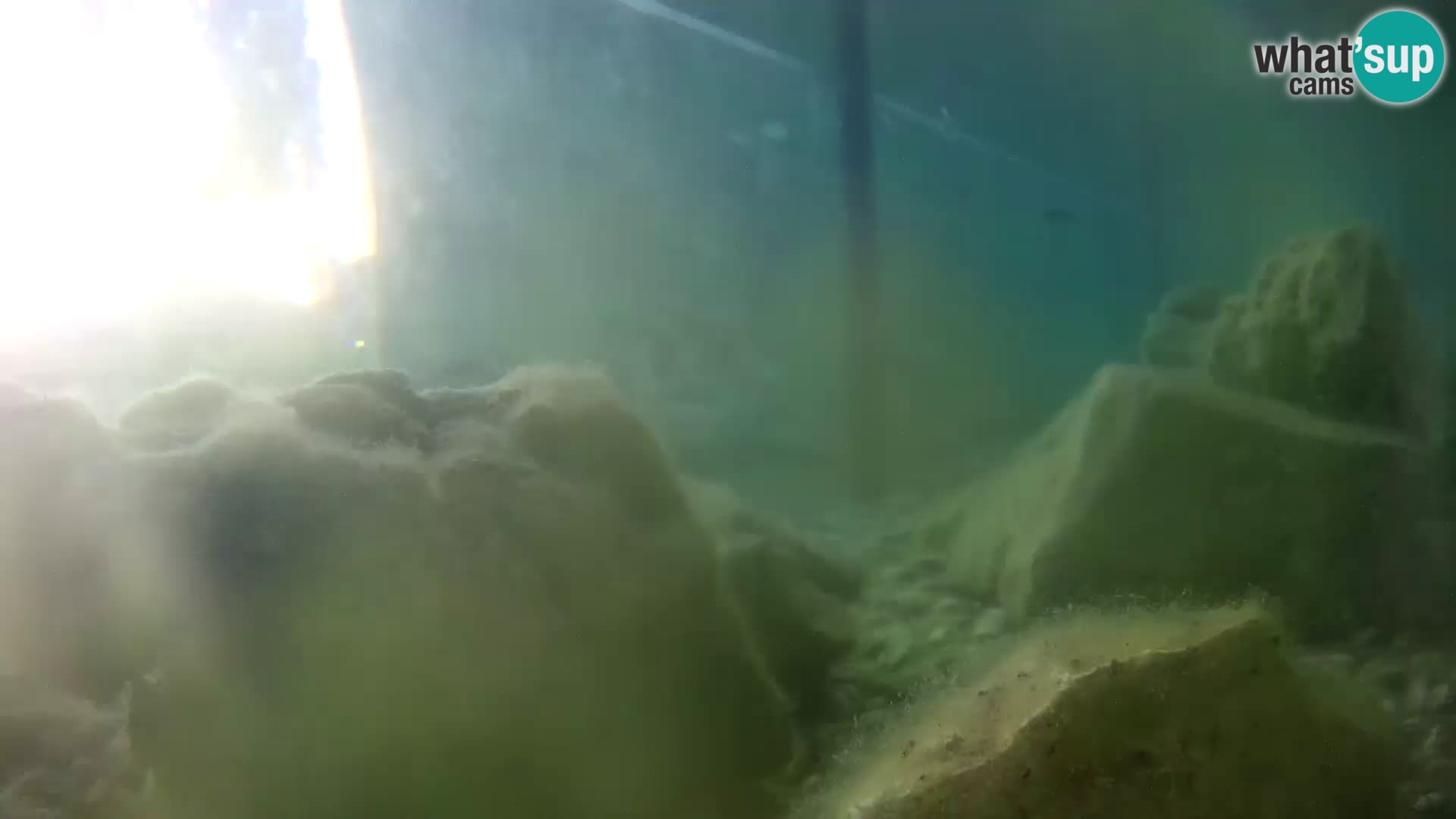 Marine Aquarium im Freien Rogoznica webcam Kroatien