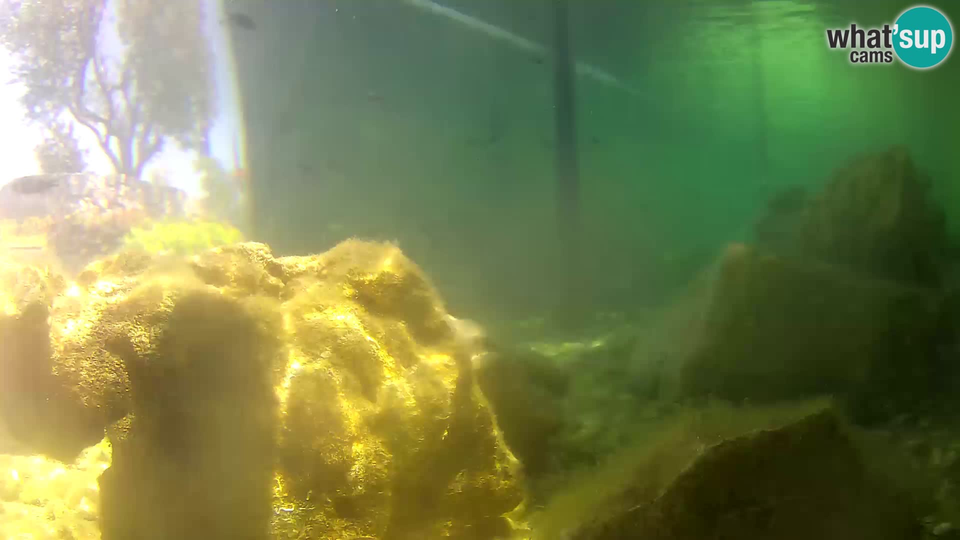 Outdoor Marine Aquarium Rogoznica webcam Croatia