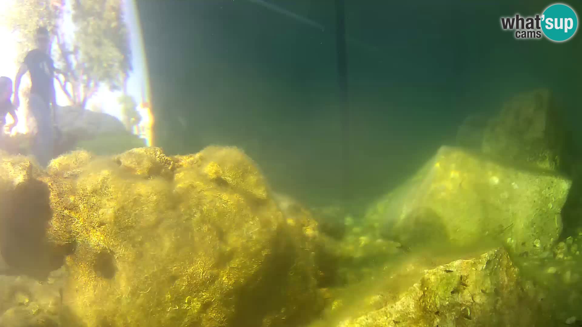 Aquario marino esterno –  Rogoznica livecam Croazia