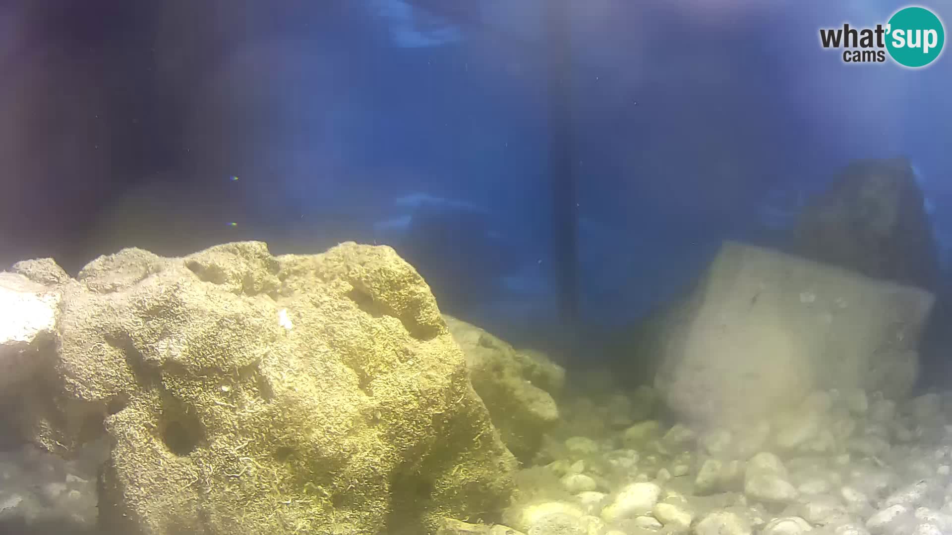 Outdoor Marine Aquarium Rogoznica webcam Croatia