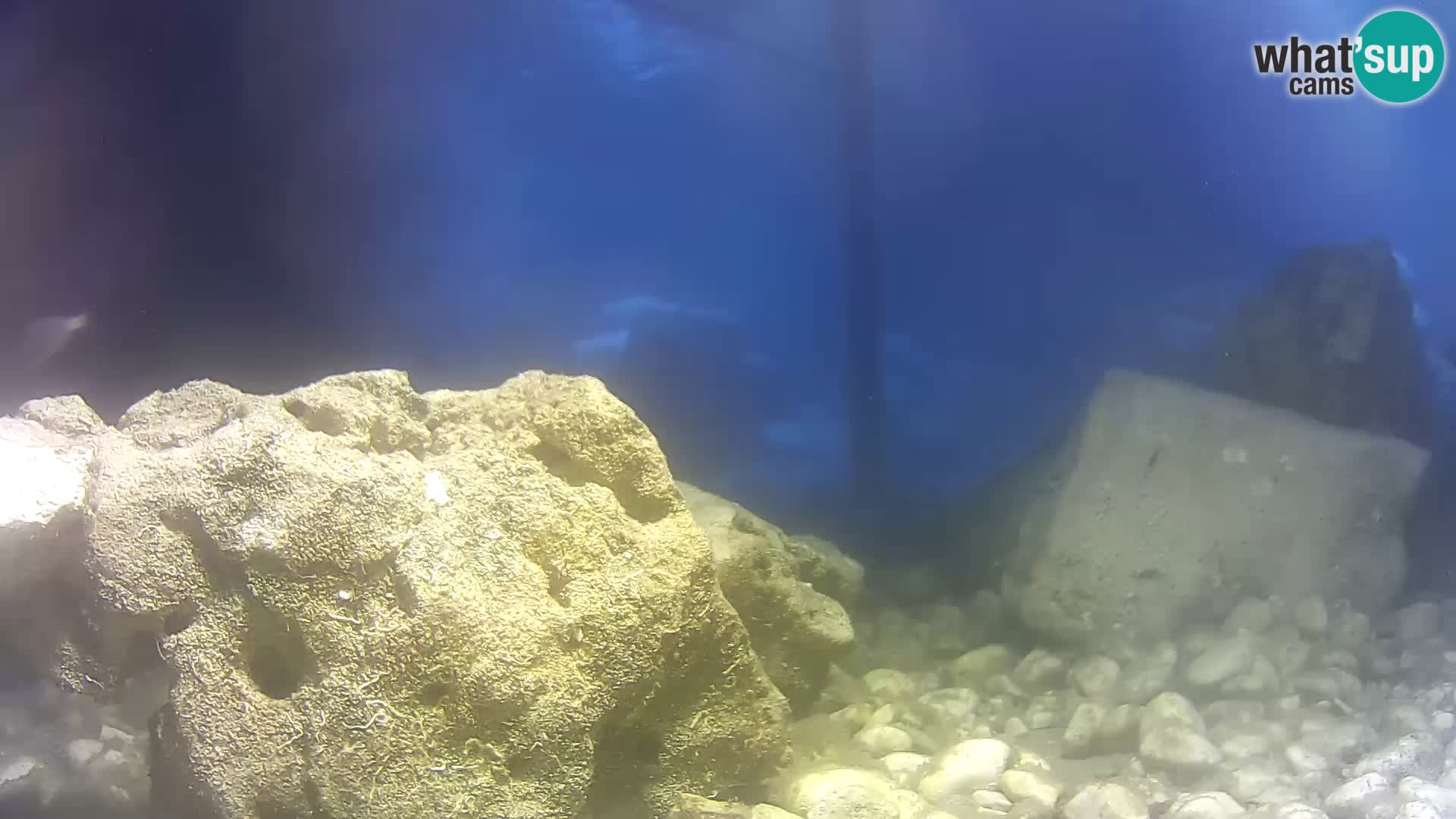 Webcam de l’aquarium marin extérieur de Rogoznica Croatie